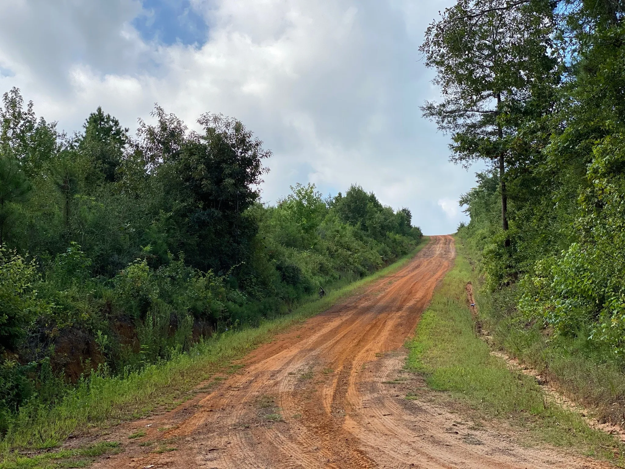 Ranch For Sale in Rusk County , TBD County Road 394, Tatum, Texas 75691, 0, 0, Garage spaces, 0 Sqft, built in 0, mls#14667229, Real Estate Agent in Tatum, Homes For Sale in Rusk county, Homes For Sale in Tatum, Realtor in Tatum Texas, Real Estate Brokerage Independent Realty Texas, Luminita Cordes Realtor
