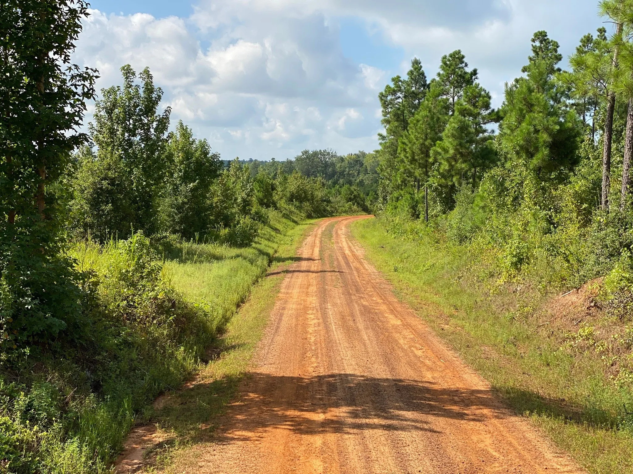 Ranch For Sale in Rusk County , TBD County Road 394, Tatum, Texas 75691, 0, 0, Garage spaces, 0 Sqft, built in 0, mls#14667229, Real Estate Agent in Tatum, Homes For Sale in Rusk county, Homes For Sale in Tatum, Realtor in Tatum Texas, Real Estate Brokerage Independent Realty Texas, Luminita Cordes Realtor