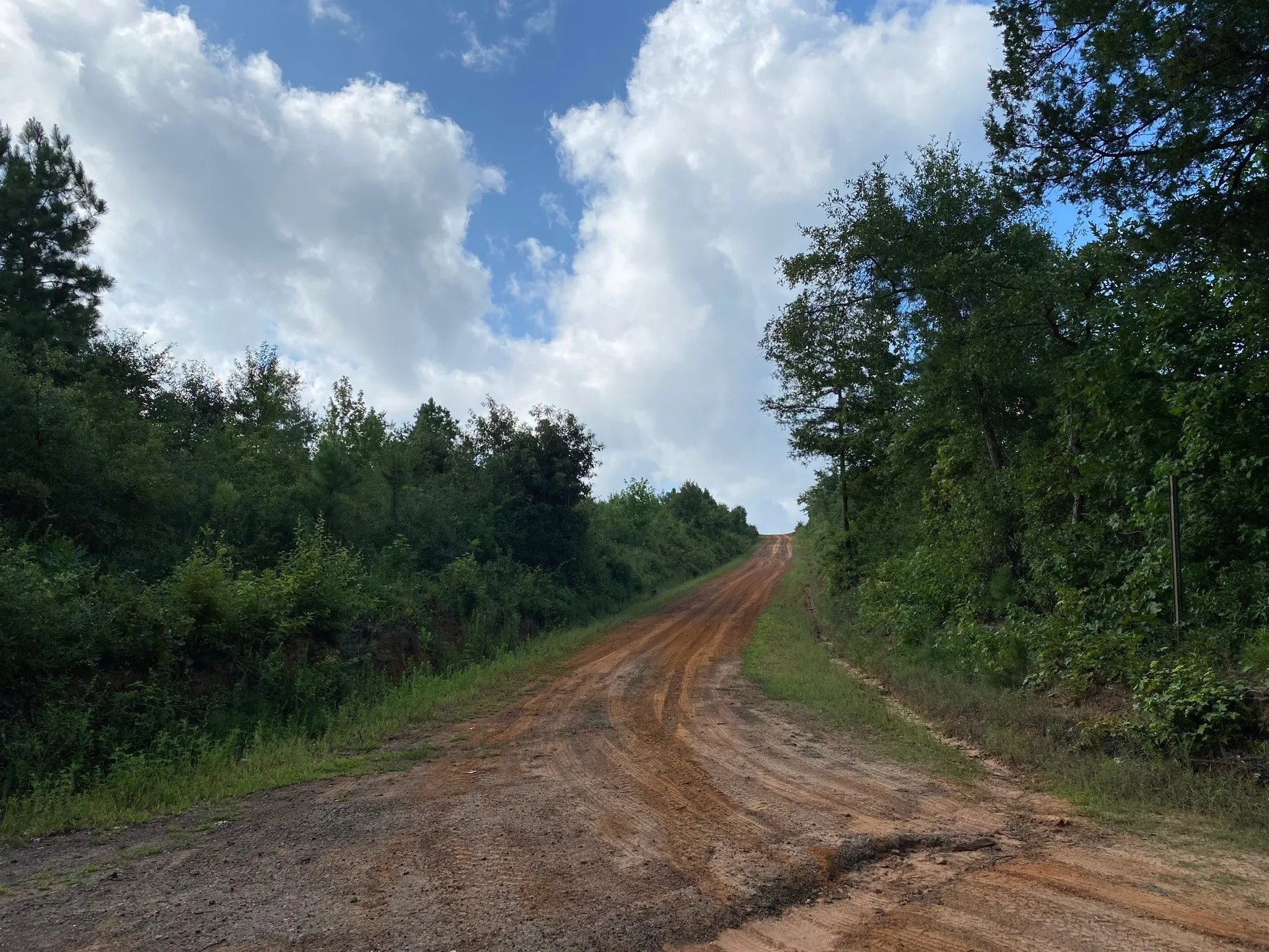 Ranch For Sale in Rusk County , TBD County Road 394, Tatum, Texas 75691, 0, 0, Garage spaces, 0 Sqft, built in 0, mls#14667229, Real Estate Agent in Tatum, Homes For Sale in Rusk county, Homes For Sale in Tatum, Realtor in Tatum Texas, Real Estate Brokerage Independent Realty Texas, Luminita Cordes Realtor
