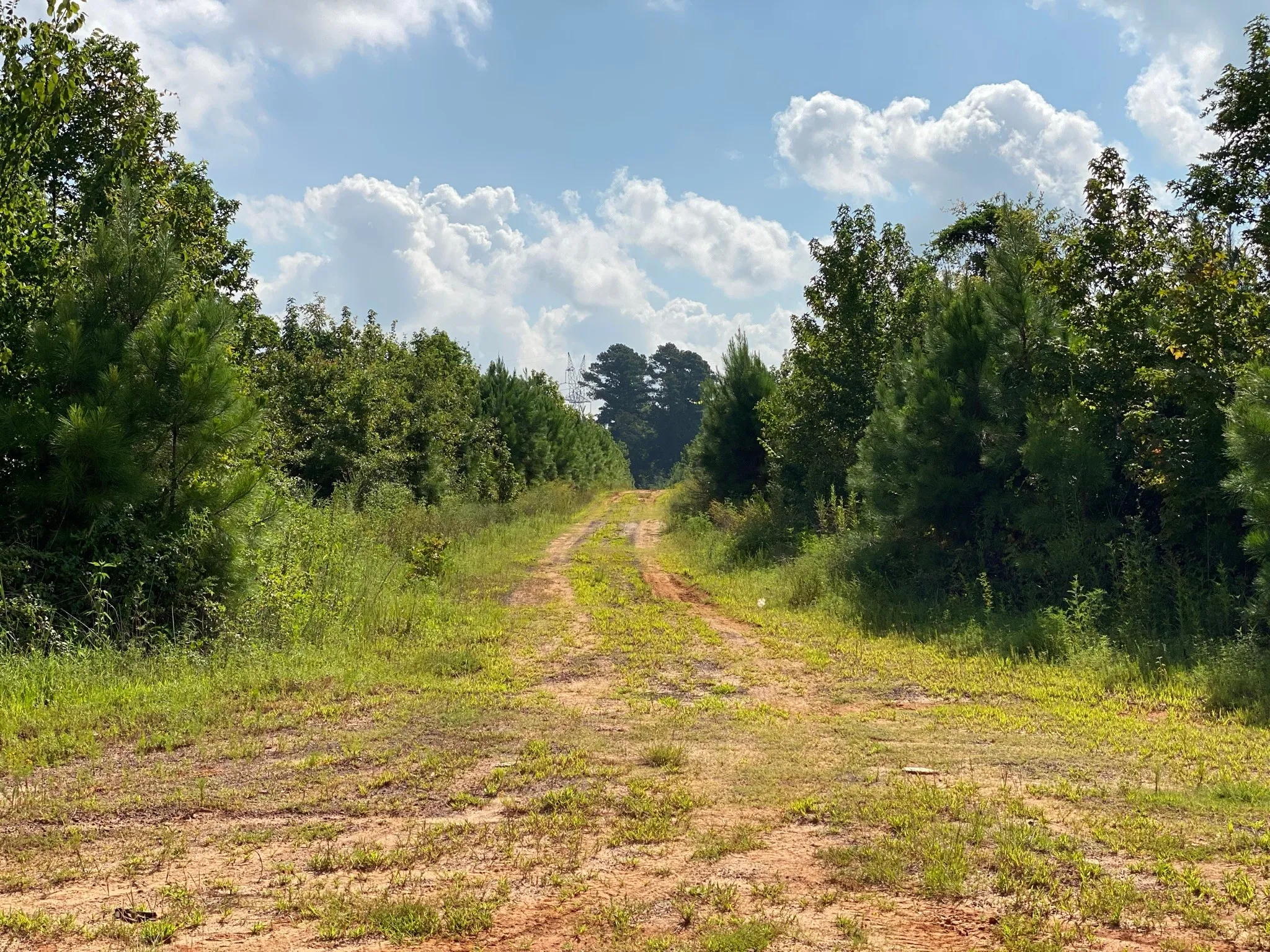 Ranch For Sale in Rusk County , TBD County Road 394, Tatum, Texas 75691, 0, 0, Garage spaces, 0 Sqft, built in 0, mls#14667229, Real Estate Agent in Tatum, Homes For Sale in Rusk county, Homes For Sale in Tatum, Realtor in Tatum Texas, Real Estate Brokerage Independent Realty Texas, Luminita Cordes Realtor