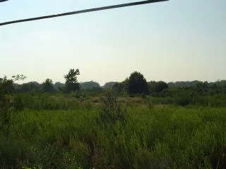 Unimproved Land For Sale in Henderson County , 1511 E Tyler Street, Athens, Texas 75751, 0, 0, Garage spaces, 0 Sqft, built in 0, mls#14707892, Real Estate Agent in Athens, Homes For Sale in Henderson county, Homes For Sale in Athens, Realtor in Athens Texas, Real Estate Brokerage Independent Realty Texas, Luminita Cordes Realtor