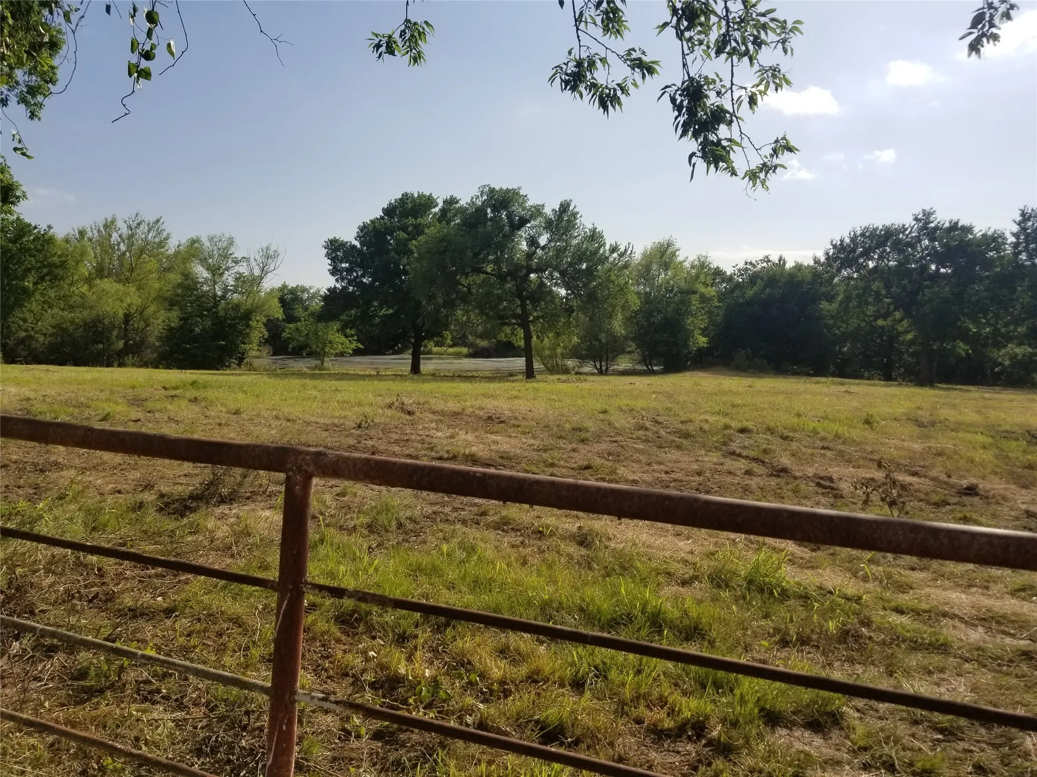 Ranch For Sale in Collin County , TBD County Road 623, Farmersville, Texas 75442, 0, 0, Garage spaces, 0 Sqft, built in 0, Price $489,990, mls#14602011, Real Estate Agent in Farmersville, Homes For Sale in Collin county, Homes For Sale in Farmersville, Realtor in Farmersville Texas, Real Estate Brokerage Independent Realty Texas, Luminita Cordes Realtor