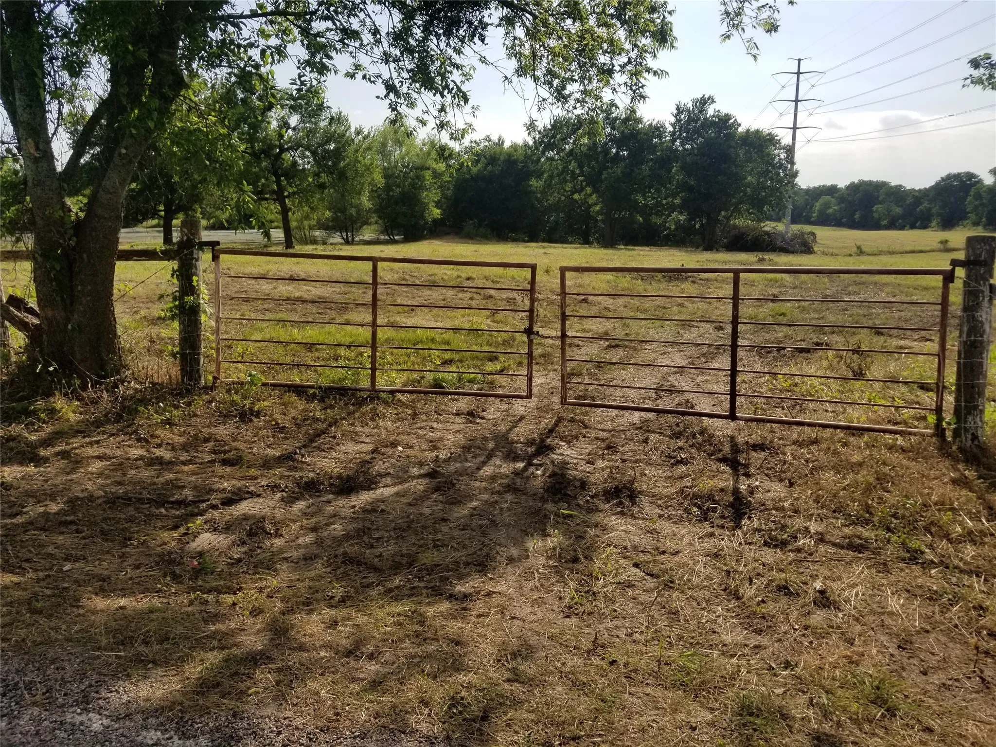 Ranch For Sale in Collin County , TBD County Road 623, Farmersville, Texas 75442, 0, 0, Garage spaces, 0 Sqft, built in 0, Price $489,990, mls#14602011, Real Estate Agent in Farmersville, Homes For Sale in Collin county, Homes For Sale in Farmersville, Realtor in Farmersville Texas, Real Estate Brokerage Independent Realty Texas, Luminita Cordes Realtor