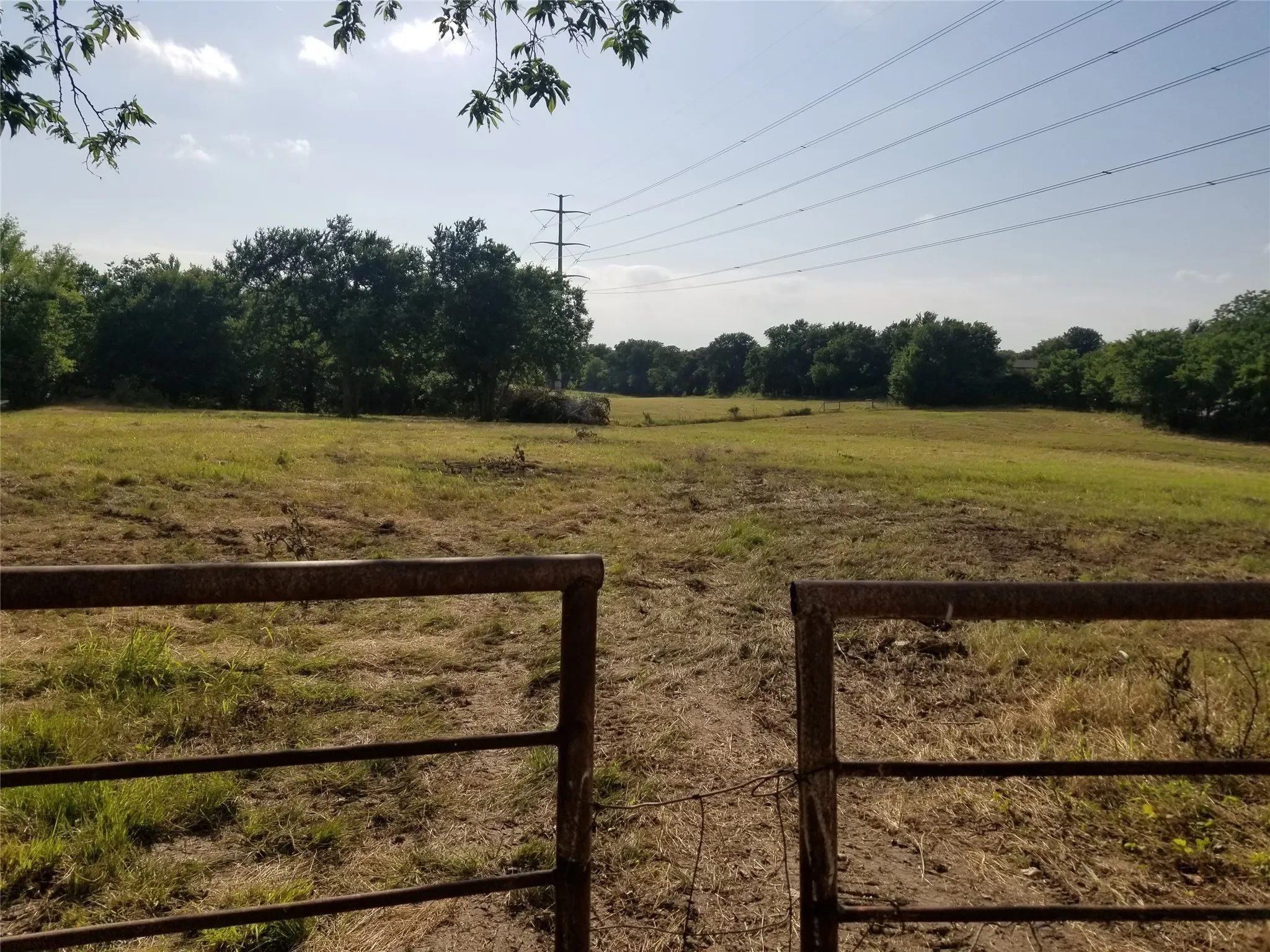 Ranch For Sale in Collin County , TBD County Road 623, Farmersville, Texas 75442, 0, 0, Garage spaces, 0 Sqft, built in 0, Price $489,990, mls#14602011, Real Estate Agent in Farmersville, Homes For Sale in Collin county, Homes For Sale in Farmersville, Realtor in Farmersville Texas, Real Estate Brokerage Independent Realty Texas, Luminita Cordes Realtor