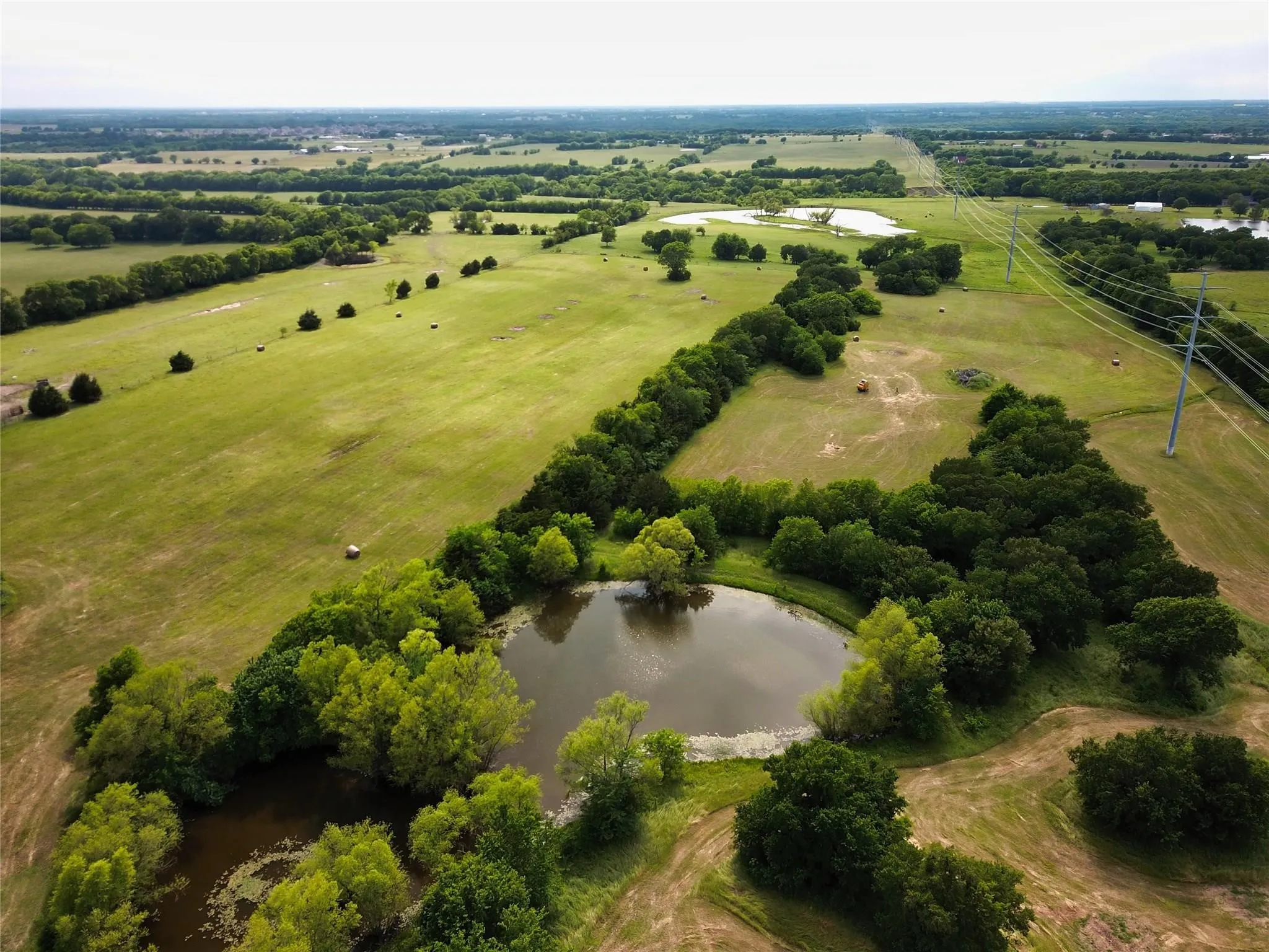 Ranch For Sale in Collin County , TBD County Road 623, Farmersville, Texas 75442, 0, 0, Garage spaces, 0 Sqft, built in 0, Price $489,990, mls#14602011, Real Estate Agent in Farmersville, Homes For Sale in Collin county, Homes For Sale in Farmersville, Realtor in Farmersville Texas, Real Estate Brokerage Independent Realty Texas, Luminita Cordes Realtor
