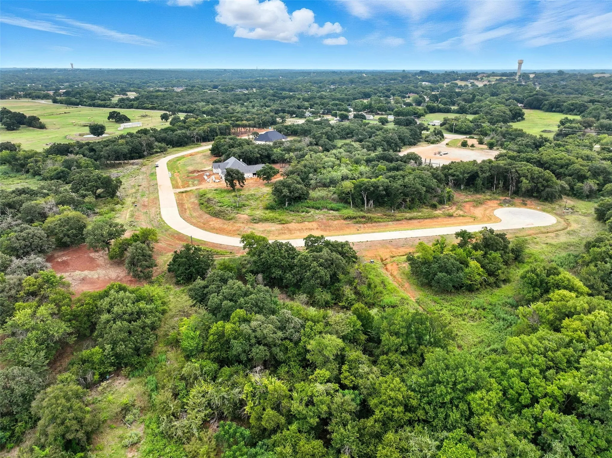 Drone / aerial view of a forest