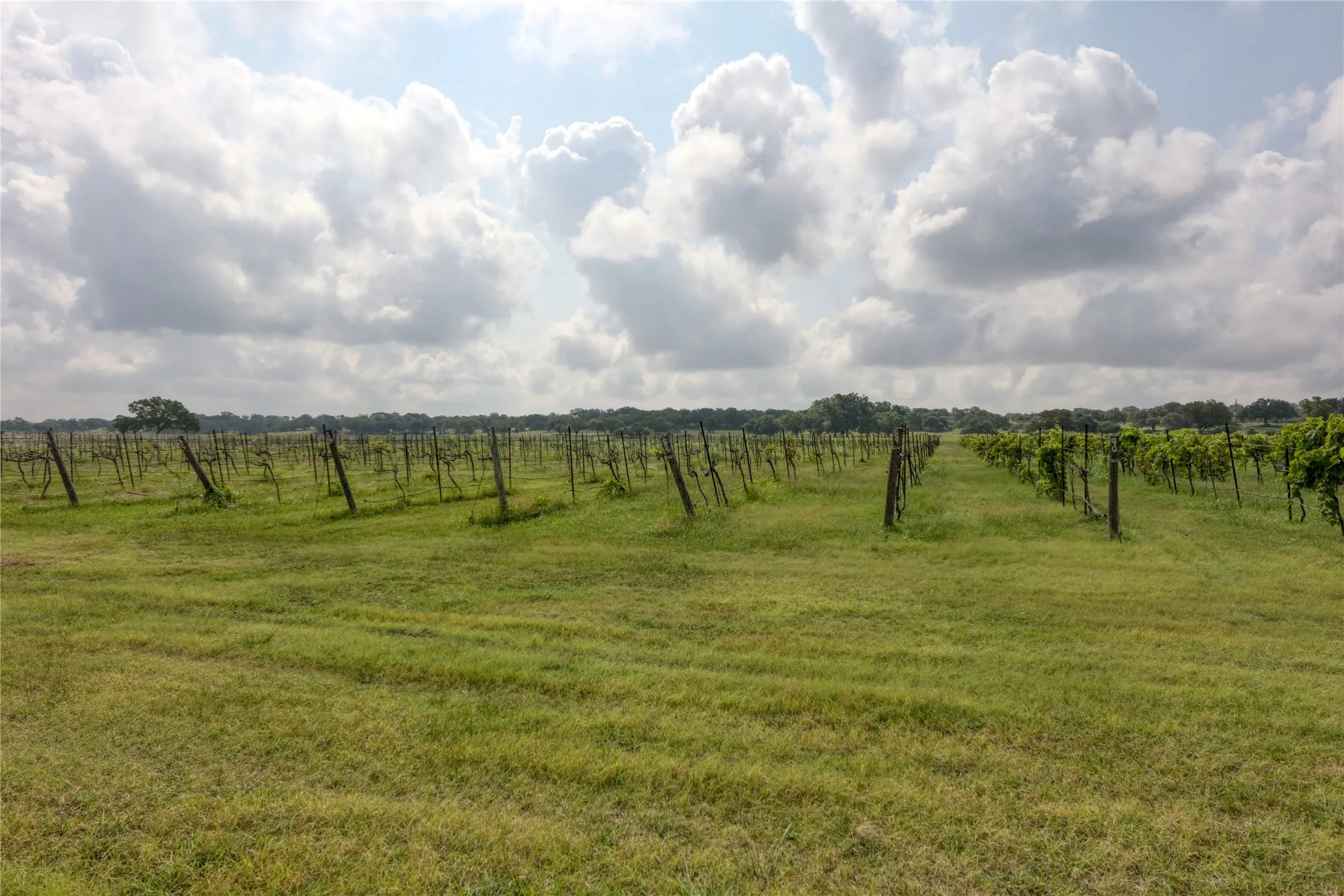 Unimproved Land For Sale in Williamson County , 404 Strada Luca, Florence, Texas 76527, 0, 0, Garage spaces, 0 Sqft, built in 0, Price $302,253, mls#20004841, Real Estate Agent in Florence, Homes For Sale in Williamson county, Homes For Sale in Florence, Realtor in Florence Texas, Real Estate Brokerage Independent Realty Texas, Luminita Cordes Realtor