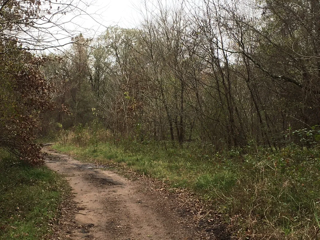 Unimproved Land For Sale in San Jacinto County , TBD Big Creek, Shepherd, Texas 77371, 0, 0, Garage spaces, 0 Sqft, built in 0, Price $6,800, mls#20049764, Real Estate Agent in Shepherd, Homes For Sale in San Jacinto county, Homes For Sale in Shepherd, Realtor in Shepherd Texas, Real Estate Brokerage Independent Realty Texas, Luminita Cordes Realtor