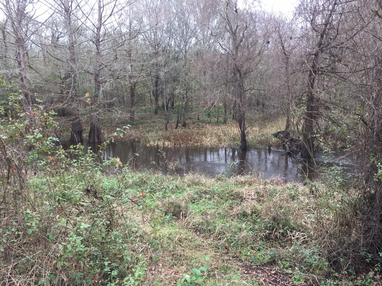 Unimproved Land For Sale in San Jacinto County , TBD Big Creek, Shepherd, Texas 77371, 0, 0, Garage spaces, 0 Sqft, built in 0, Price $6,800, mls#20049764, Real Estate Agent in Shepherd, Homes For Sale in San Jacinto county, Homes For Sale in Shepherd, Realtor in Shepherd Texas, Real Estate Brokerage Independent Realty Texas, Luminita Cordes Realtor
