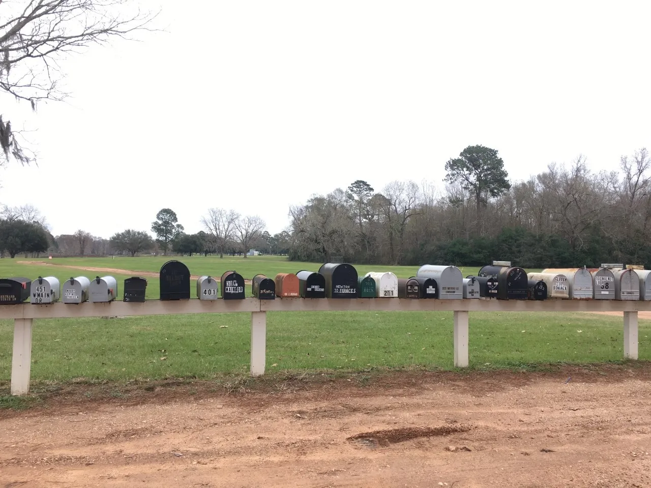 Unimproved Land For Sale in San Jacinto County , TBD Big Creek, Shepherd, Texas 77371, 0, 0, Garage spaces, 0 Sqft, built in 0, Price $6,800, mls#20049764, Real Estate Agent in Shepherd, Homes For Sale in San Jacinto county, Homes For Sale in Shepherd, Realtor in Shepherd Texas, Real Estate Brokerage Independent Realty Texas, Luminita Cordes Realtor