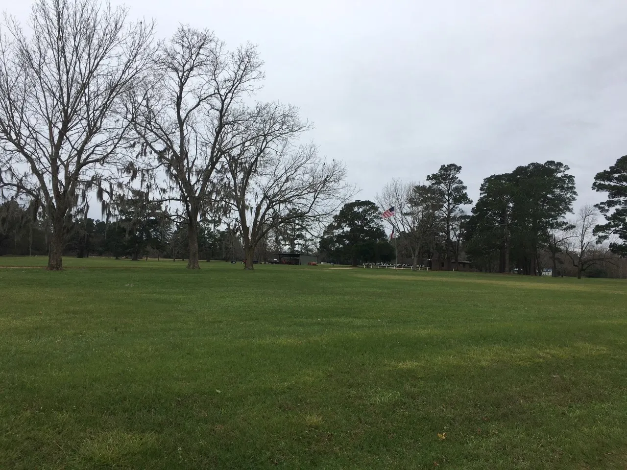 Unimproved Land For Sale in San Jacinto County , TBD Big Creek, Shepherd, Texas 77371, 0, 0, Garage spaces, 0 Sqft, built in 0, Price $6,800, mls#20049764, Real Estate Agent in Shepherd, Homes For Sale in San Jacinto county, Homes For Sale in Shepherd, Realtor in Shepherd Texas, Real Estate Brokerage Independent Realty Texas, Luminita Cordes Realtor