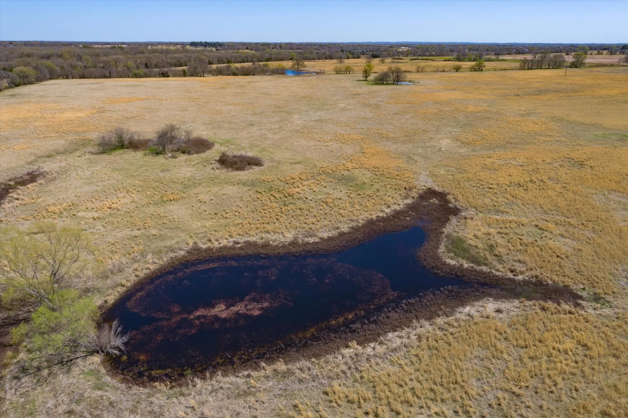 Unimproved Land For Sale in Van Zandt County , Tract 1 CR 1604, Grand Saline, Texas 75140, 0, 0, Garage spaces, 0 Sqft, built in 0, Price $279,750, mls#20065383, Real Estate Agent in Grand Saline, Homes For Sale in Van Zandt county, Homes For Sale in Grand Saline, Realtor in Grand Saline Texas, Real Estate Brokerage Independent Realty Texas, Luminita Cordes Realtor