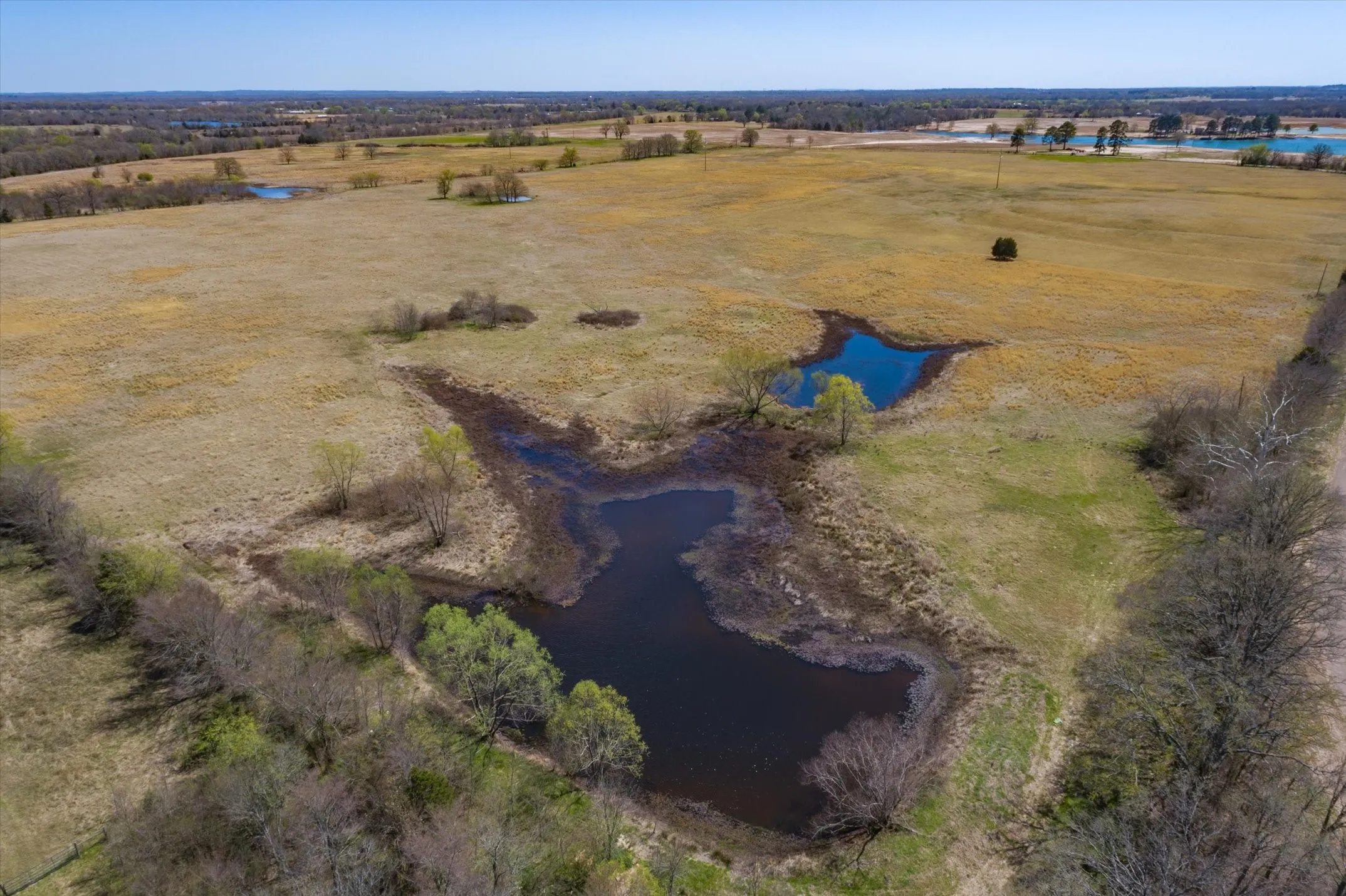 Unimproved Land For Sale in Van Zandt County , Tract 1 CR 1604, Grand Saline, Texas 75140, 0, 0, Garage spaces, 0 Sqft, built in 0, Price $279,750, mls#20065383, Real Estate Agent in Grand Saline, Homes For Sale in Van Zandt county, Homes For Sale in Grand Saline, Realtor in Grand Saline Texas, Real Estate Brokerage Independent Realty Texas, Luminita Cordes Realtor