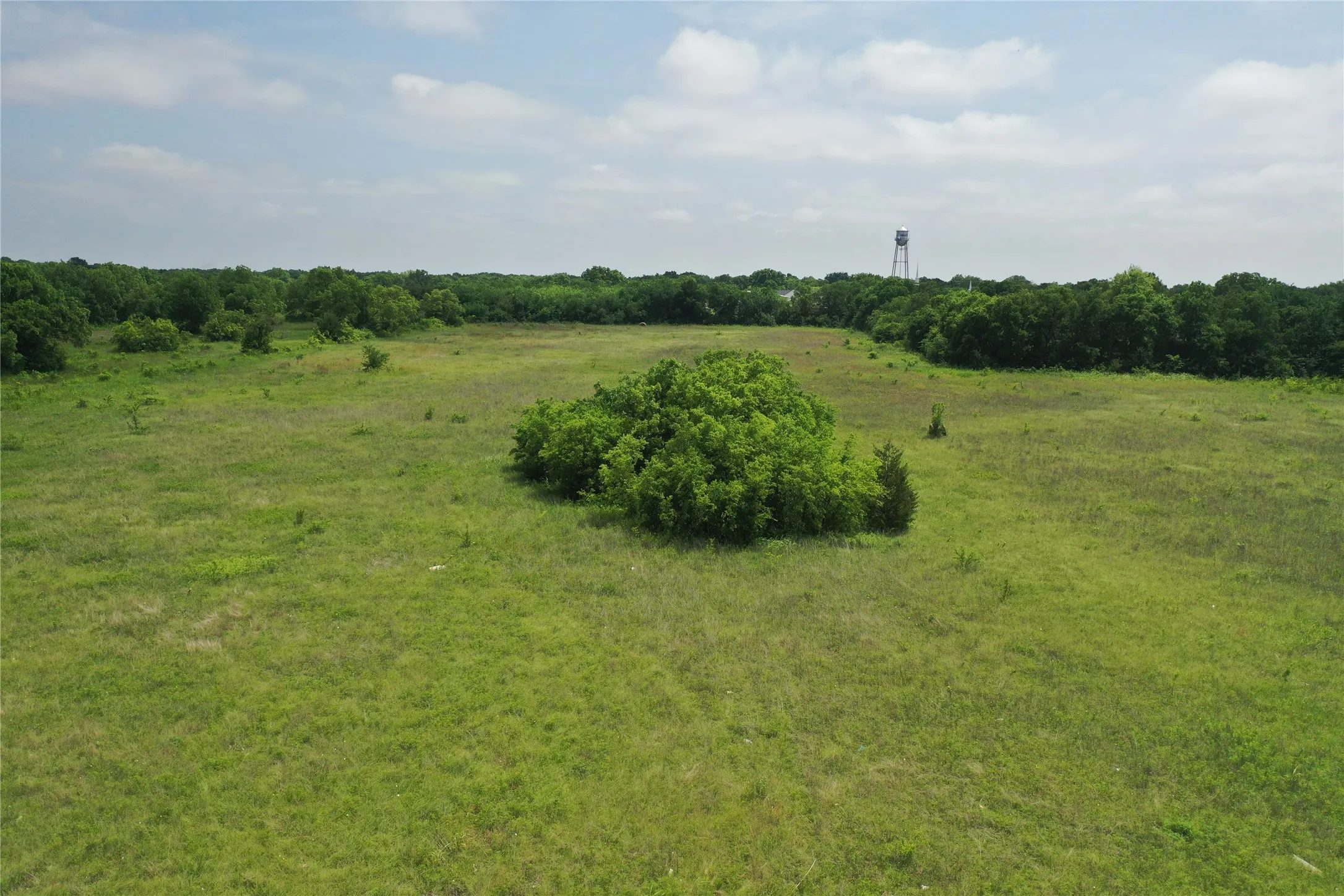 Unimproved Land For Sale in Fannin County , 29.366 AC South Side Hwy 69, Trenton, Texas 75490, 0, 0, Garage spaces, 0 Sqft, built in 0, Price $2,194,500, mls#20061557, Real Estate Agent in Trenton, Homes For Sale in Fannin county, Homes For Sale in Trenton, Realtor in Trenton Texas, Real Estate Brokerage Independent Realty Texas, Luminita Cordes Realtor