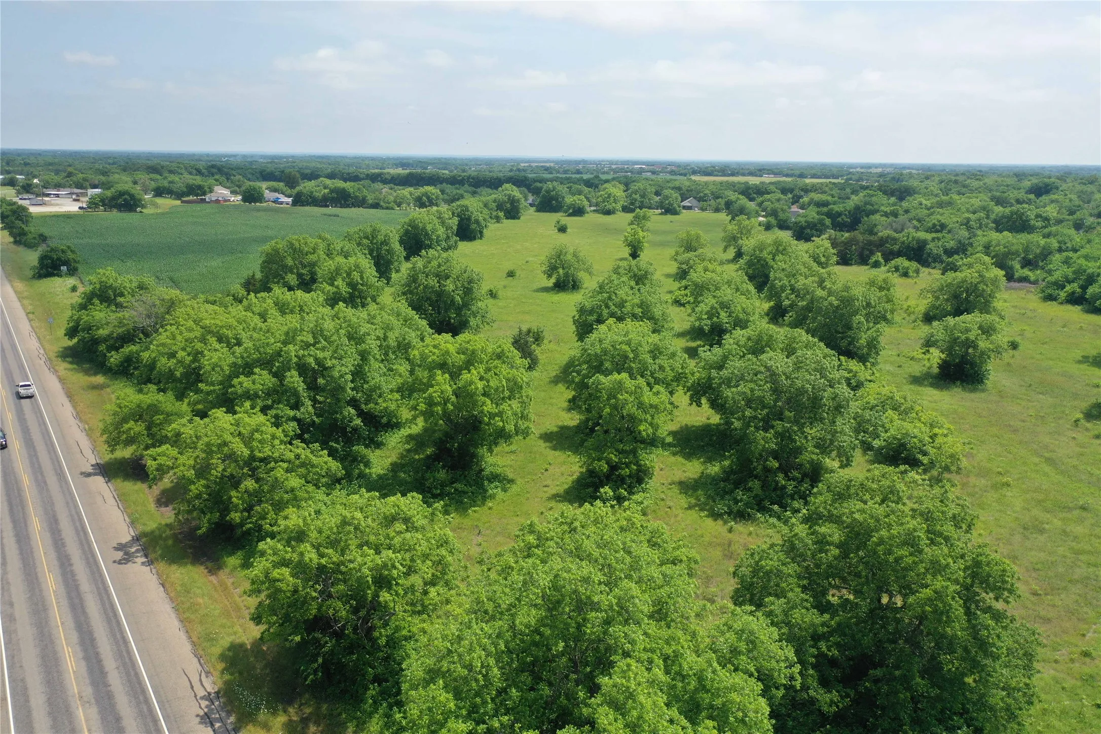 Unimproved Land For Sale in Fannin County , 29.366 AC South Side Hwy 69, Trenton, Texas 75490, 0, 0, Garage spaces, 0 Sqft, built in 0, Price $2,194,500, mls#20061557, Real Estate Agent in Trenton, Homes For Sale in Fannin county, Homes For Sale in Trenton, Realtor in Trenton Texas, Real Estate Brokerage Independent Realty Texas, Luminita Cordes Realtor
