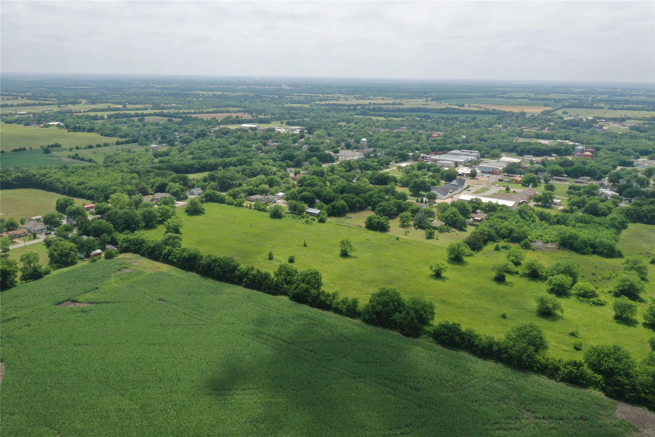 Unimproved Land For Sale in Fannin County , 29.366 AC South Side Hwy 69, Trenton, Texas 75490, 0, 0, Garage spaces, 0 Sqft, built in 0, Price $2,194,500, mls#20061557, Real Estate Agent in Trenton, Homes For Sale in Fannin county, Homes For Sale in Trenton, Realtor in Trenton Texas, Real Estate Brokerage Independent Realty Texas, Luminita Cordes Realtor