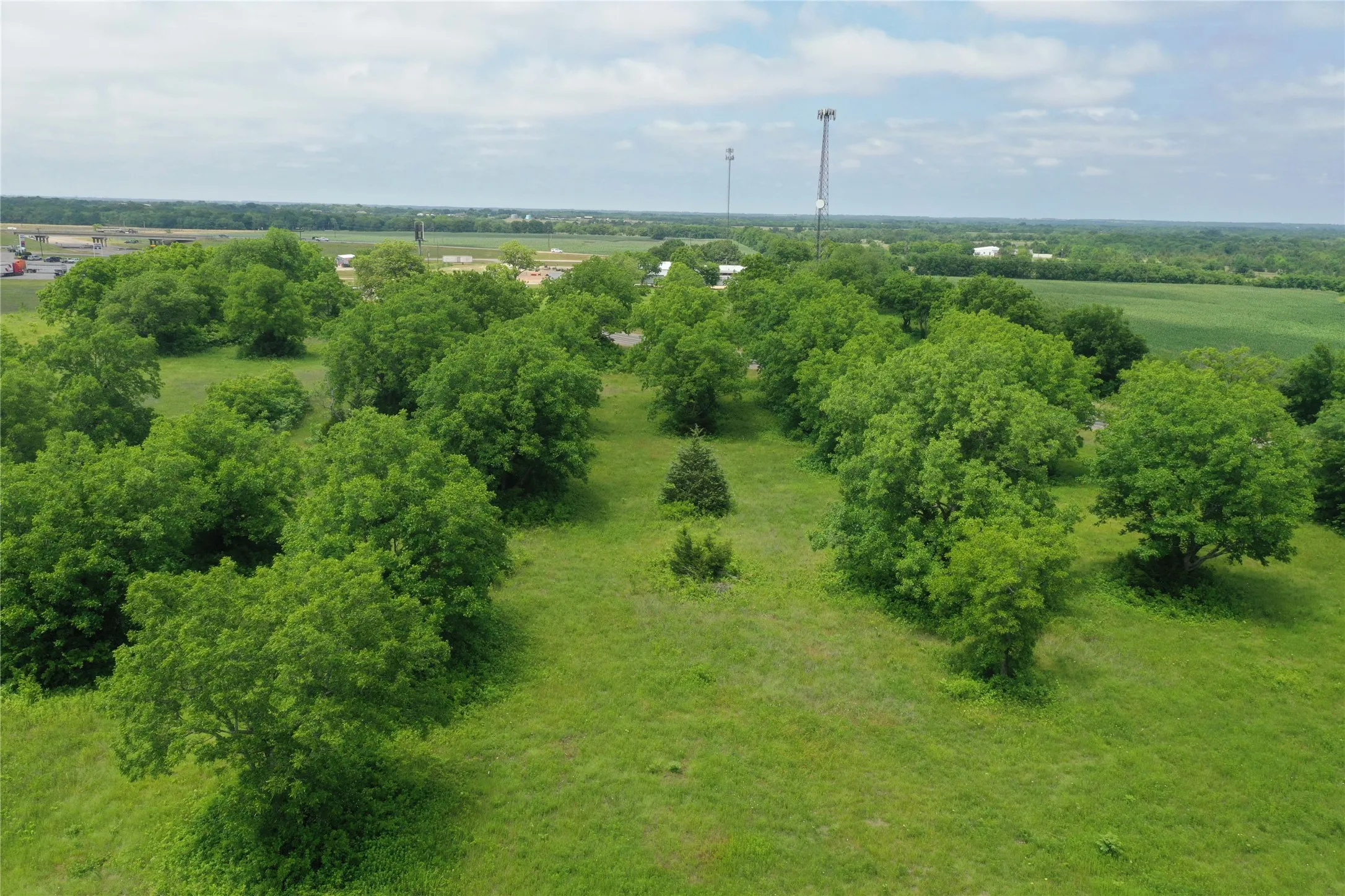 Unimproved Land For Sale in Fannin County , 29.366 AC South Side Hwy 69, Trenton, Texas 75490, 0, 0, Garage spaces, 0 Sqft, built in 0, Price $2,194,500, mls#20061557, Real Estate Agent in Trenton, Homes For Sale in Fannin county, Homes For Sale in Trenton, Realtor in Trenton Texas, Real Estate Brokerage Independent Realty Texas, Luminita Cordes Realtor