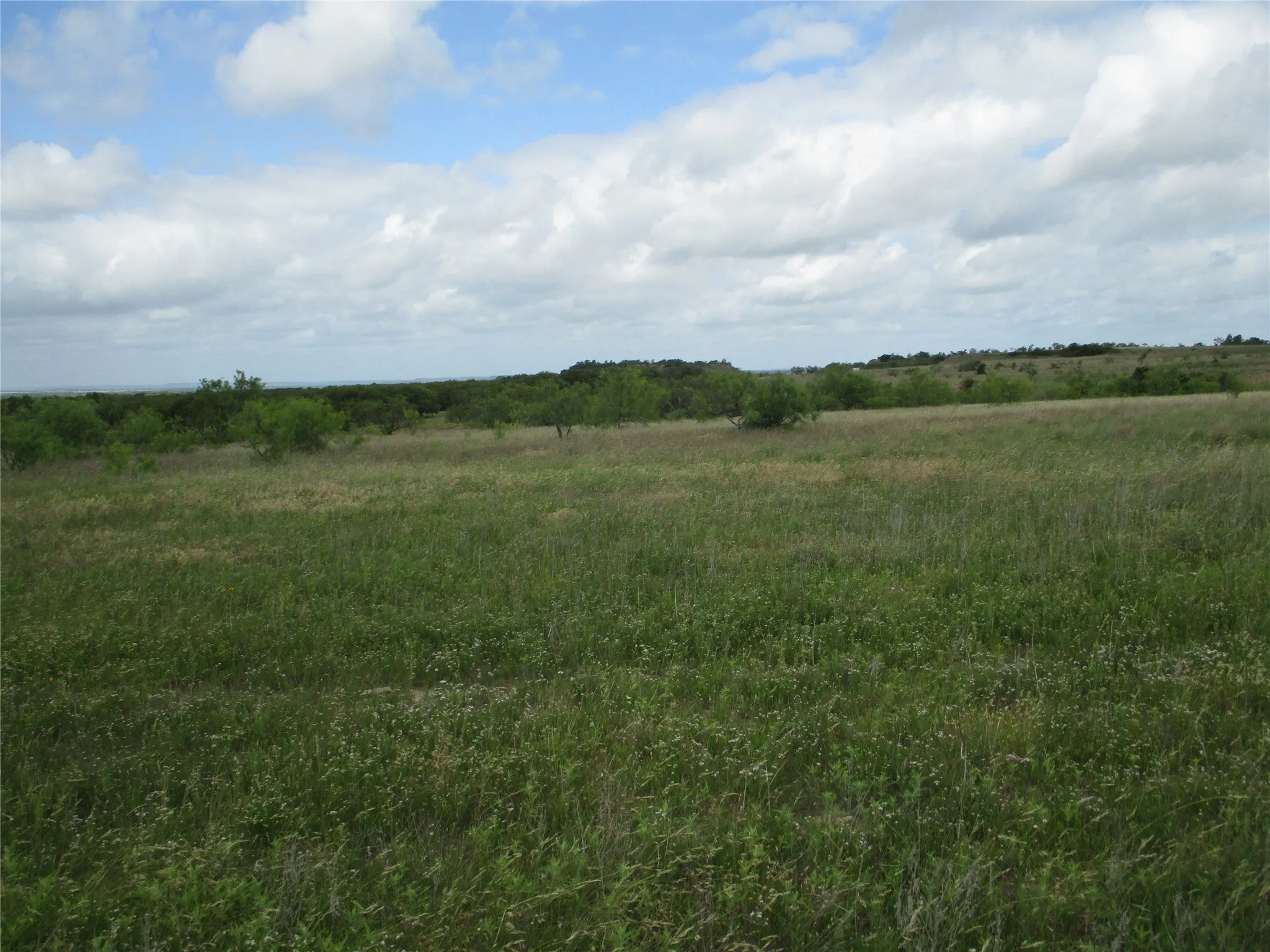 Unimproved Land For Sale in Jack County , 13 AC Elenburg Rd, Perrin, Texas 76486, 0, 0, Garage spaces, 0 Sqft, built in 0, mls#20086744, Real Estate Agent in Perrin, Homes For Sale in Jack county, Homes For Sale in Perrin, Realtor in Perrin Texas, Real Estate Brokerage Independent Realty Texas, Luminita Cordes Realtor