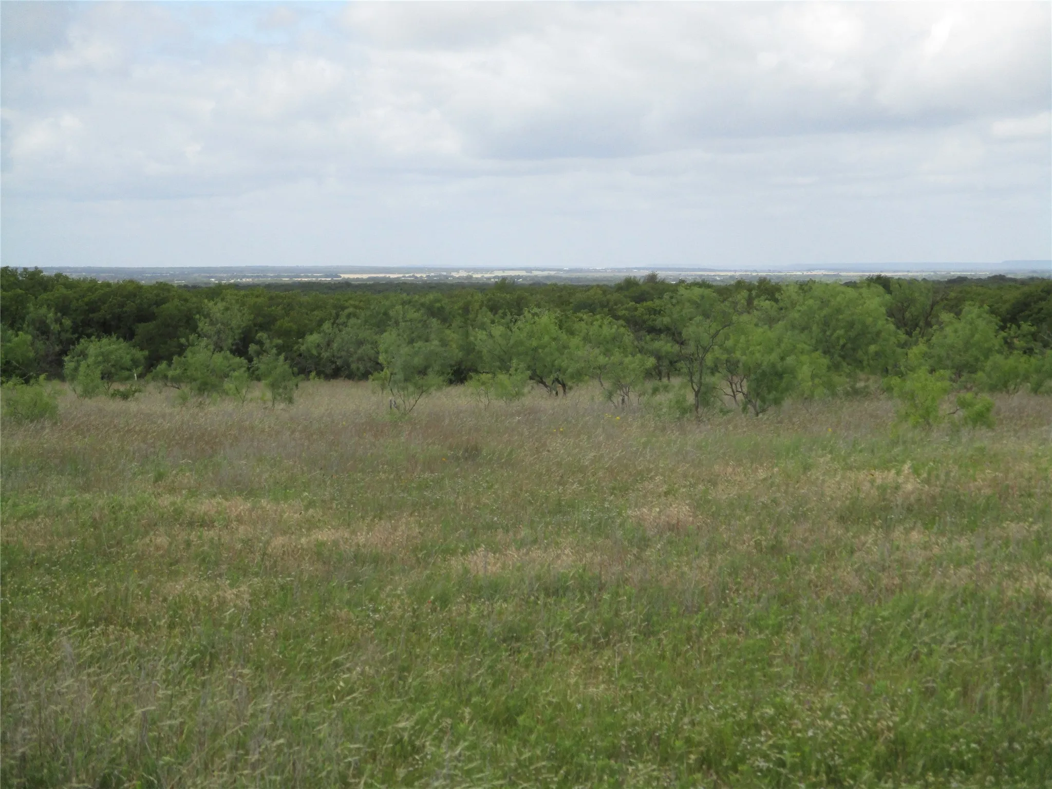 Unimproved Land For Sale in Jack County , 13 AC Elenburg Rd, Perrin, Texas 76486, 0, 0, Garage spaces, 0 Sqft, built in 0, mls#20086744, Real Estate Agent in Perrin, Homes For Sale in Jack county, Homes For Sale in Perrin, Realtor in Perrin Texas, Real Estate Brokerage Independent Realty Texas, Luminita Cordes Realtor