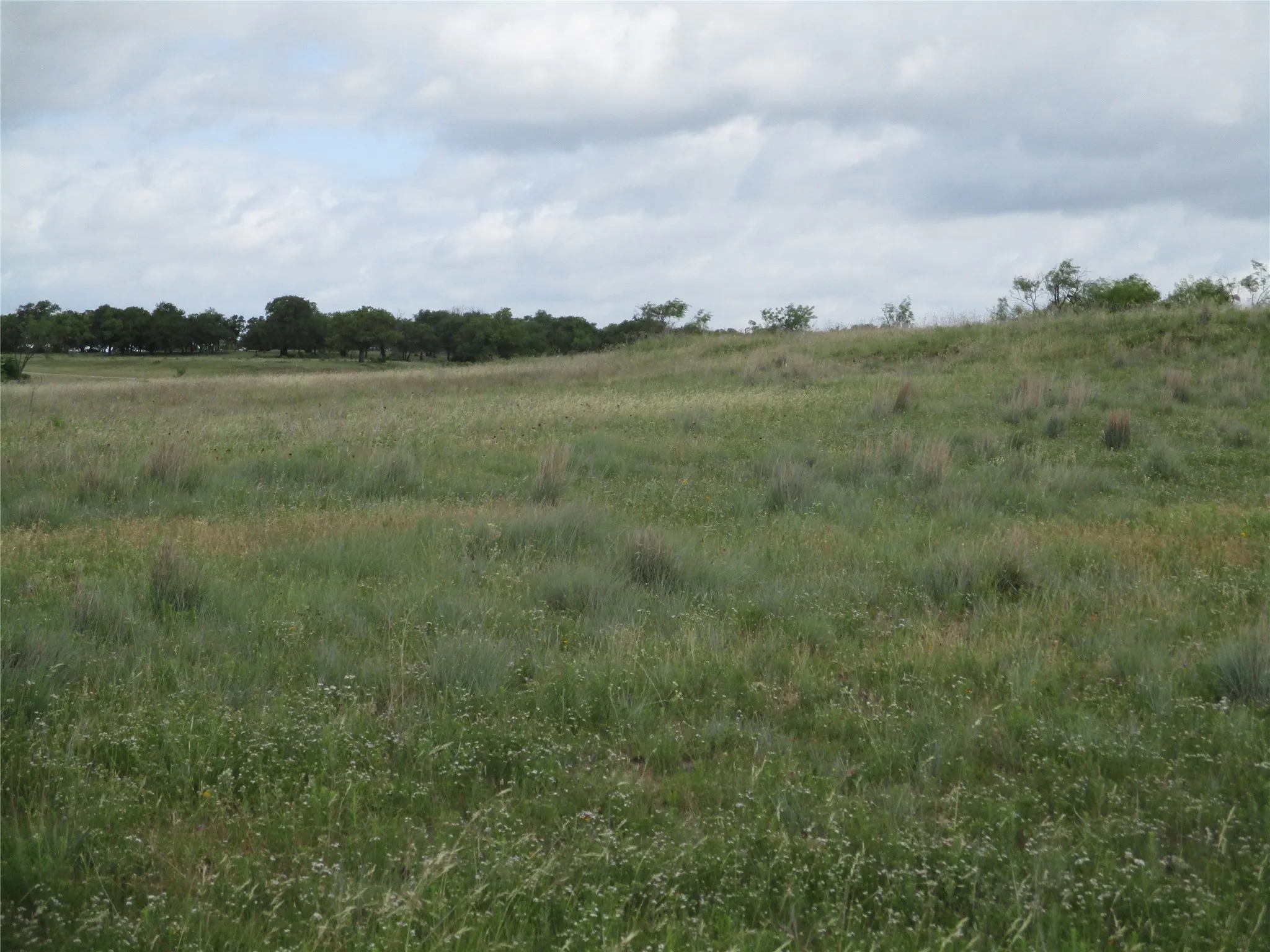Unimproved Land For Sale in Jack County , 13 AC Elenburg Rd, Perrin, Texas 76486, 0, 0, Garage spaces, 0 Sqft, built in 0, mls#20086744, Real Estate Agent in Perrin, Homes For Sale in Jack county, Homes For Sale in Perrin, Realtor in Perrin Texas, Real Estate Brokerage Independent Realty Texas, Luminita Cordes Realtor