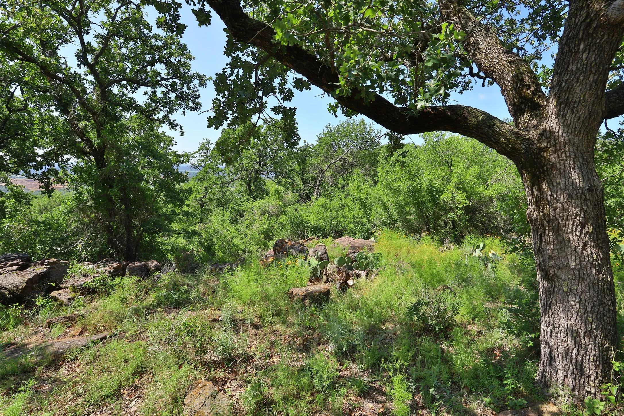 Unimproved Land For Sale in Palo Pinto County , B26 Post Oak Road, Gordon, Texas 76453, 0, 0, Garage spaces, 0 Sqft, built in 0, Price $49,900, mls#20089151, Real Estate Agent in Gordon, Homes For Sale in Palo Pinto county, Homes For Sale in Gordon, Realtor in Gordon Texas, Real Estate Brokerage Independent Realty Texas, Luminita Cordes Realtor