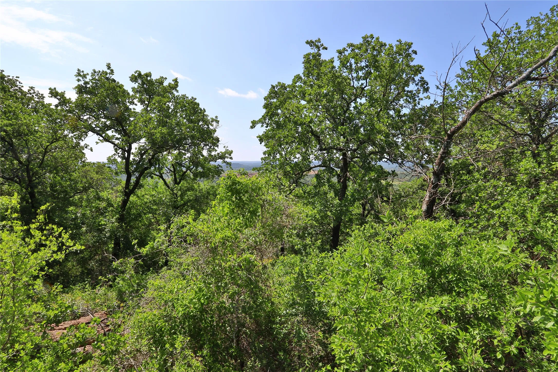 Unimproved Land For Sale in Palo Pinto County , B26 Post Oak Road, Gordon, Texas 76453, 0, 0, Garage spaces, 0 Sqft, built in 0, Price $49,900, mls#20089151, Real Estate Agent in Gordon, Homes For Sale in Palo Pinto county, Homes For Sale in Gordon, Realtor in Gordon Texas, Real Estate Brokerage Independent Realty Texas, Luminita Cordes Realtor