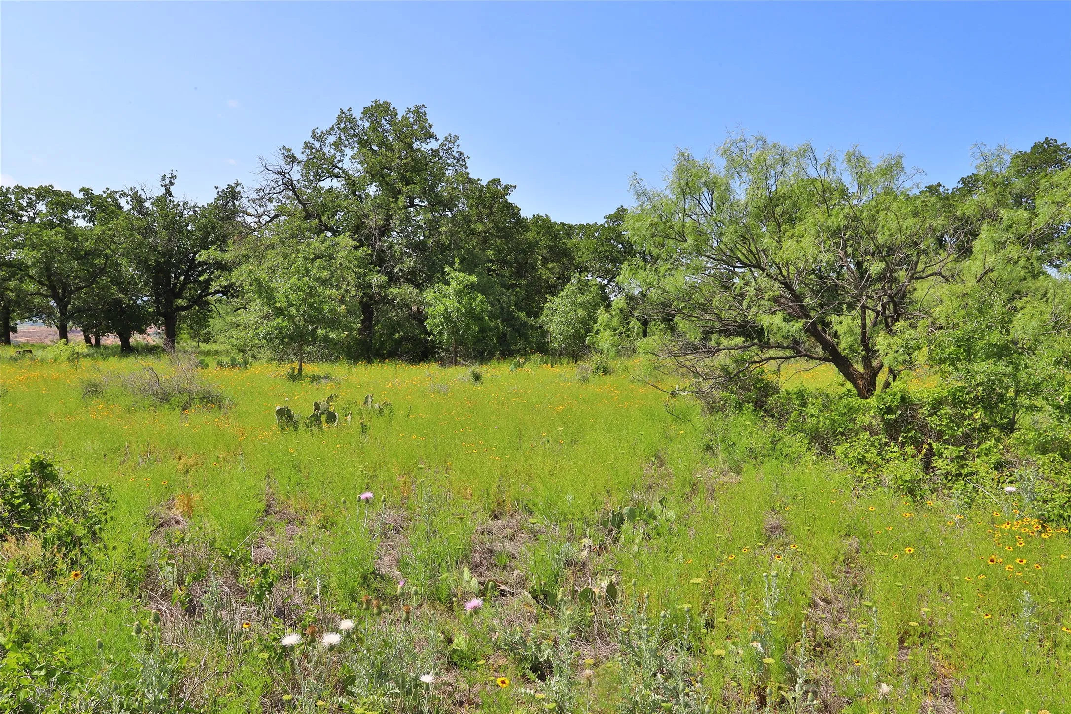 Unimproved Land For Sale in Palo Pinto County , B26 Post Oak Road, Gordon, Texas 76453, 0, 0, Garage spaces, 0 Sqft, built in 0, Price $49,900, mls#20089151, Real Estate Agent in Gordon, Homes For Sale in Palo Pinto county, Homes For Sale in Gordon, Realtor in Gordon Texas, Real Estate Brokerage Independent Realty Texas, Luminita Cordes Realtor