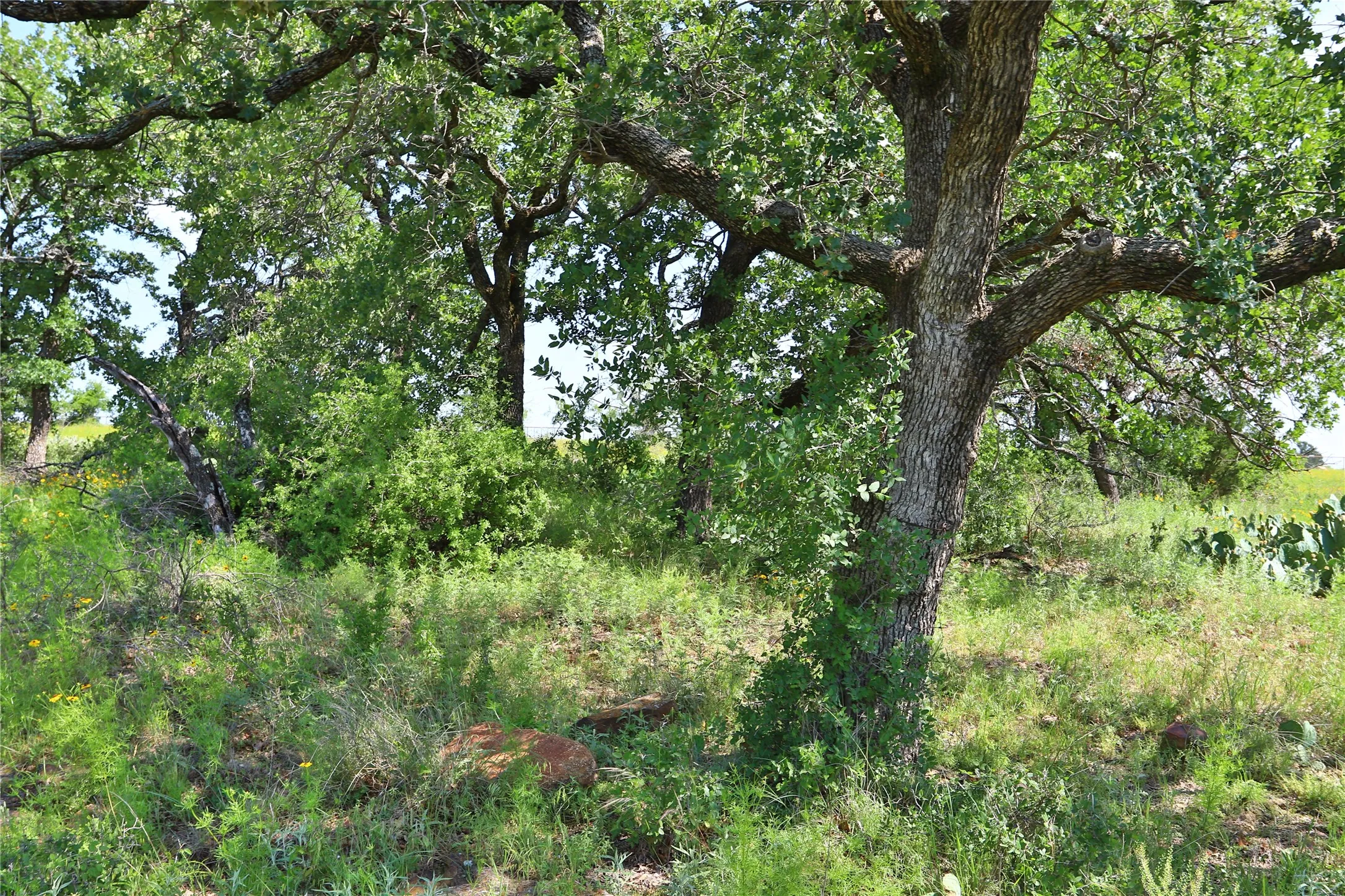 Unimproved Land For Sale in Palo Pinto County , B26 Post Oak Road, Gordon, Texas 76453, 0, 0, Garage spaces, 0 Sqft, built in 0, Price $49,900, mls#20089151, Real Estate Agent in Gordon, Homes For Sale in Palo Pinto county, Homes For Sale in Gordon, Realtor in Gordon Texas, Real Estate Brokerage Independent Realty Texas, Luminita Cordes Realtor