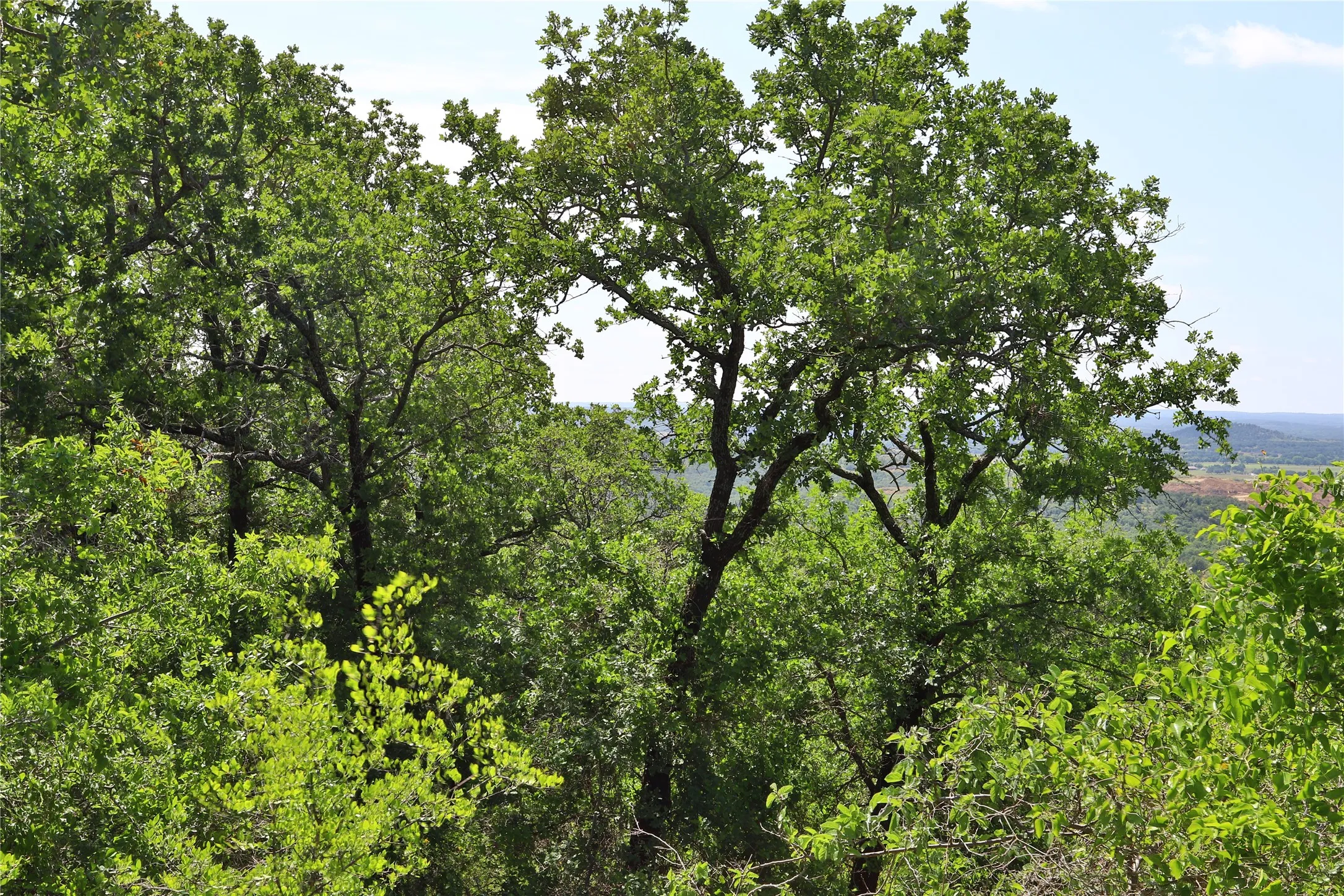 Unimproved Land For Sale in Palo Pinto County , B26 Post Oak Road, Gordon, Texas 76453, 0, 0, Garage spaces, 0 Sqft, built in 0, Price $49,900, mls#20089151, Real Estate Agent in Gordon, Homes For Sale in Palo Pinto county, Homes For Sale in Gordon, Realtor in Gordon Texas, Real Estate Brokerage Independent Realty Texas, Luminita Cordes Realtor