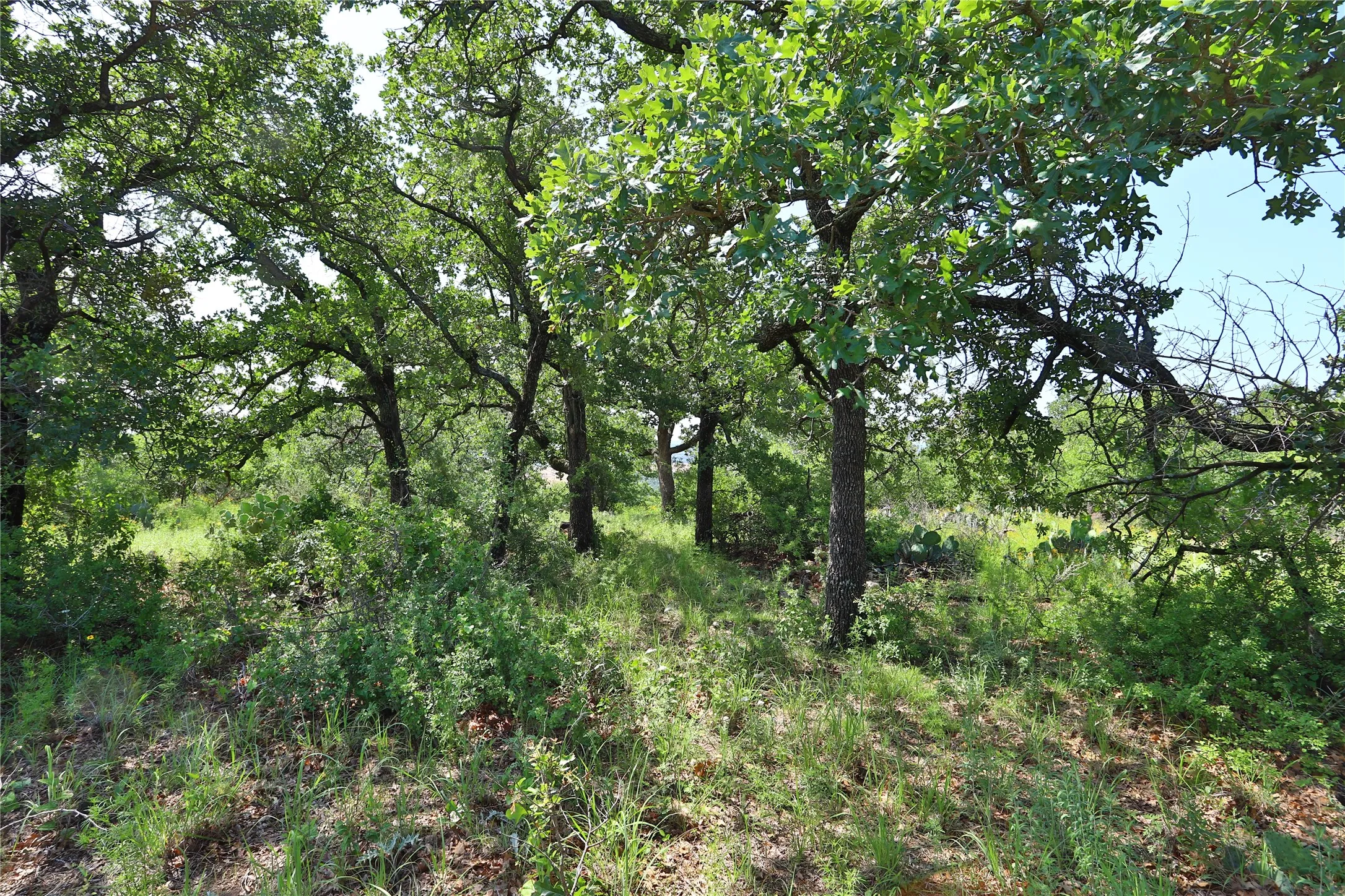 Unimproved Land For Sale in Palo Pinto County , B26 Post Oak Road, Gordon, Texas 76453, 0, 0, Garage spaces, 0 Sqft, built in 0, Price $49,900, mls#20089151, Real Estate Agent in Gordon, Homes For Sale in Palo Pinto county, Homes For Sale in Gordon, Realtor in Gordon Texas, Real Estate Brokerage Independent Realty Texas, Luminita Cordes Realtor