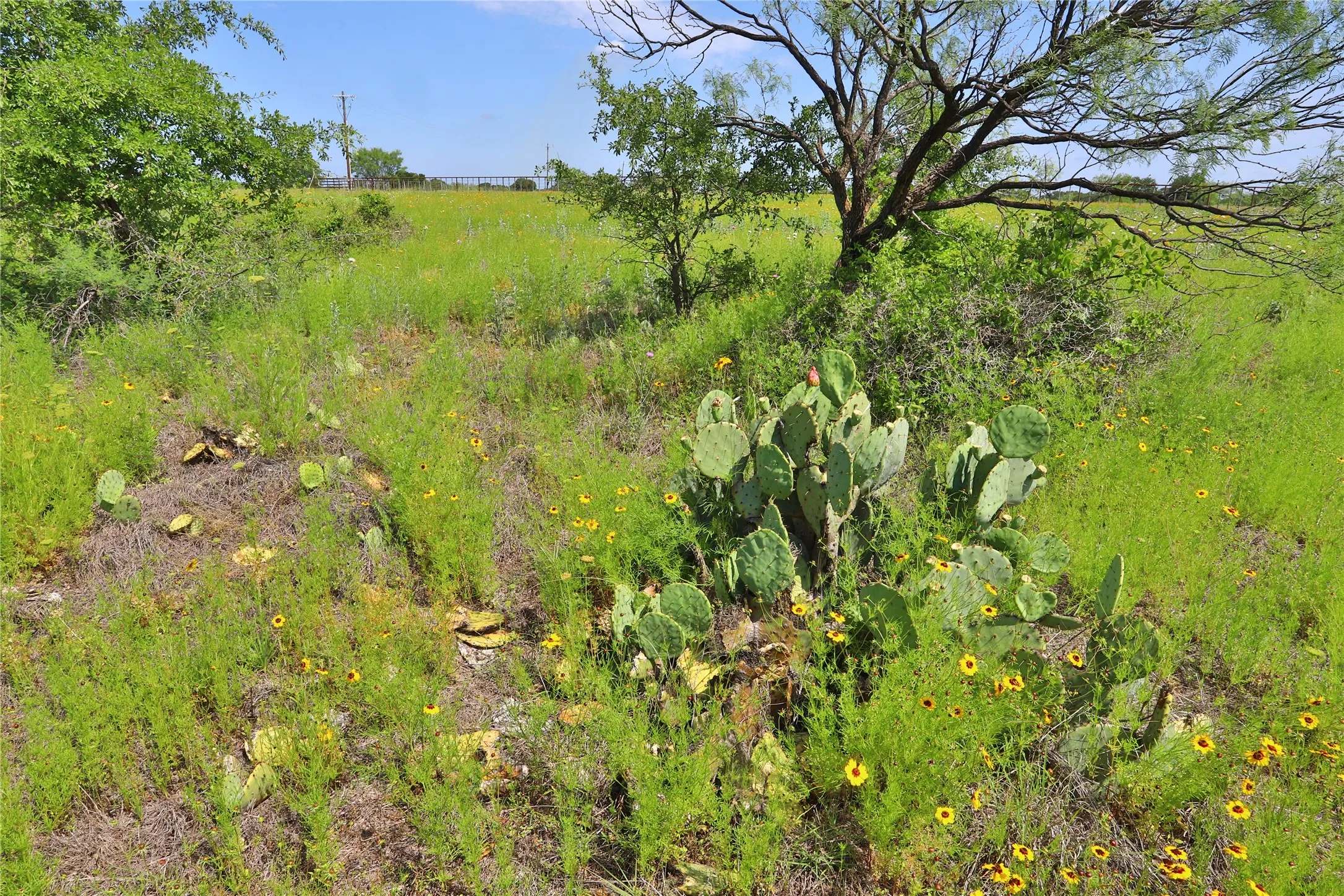 Unimproved Land For Sale in Palo Pinto County , B26 Post Oak Road, Gordon, Texas 76453, 0, 0, Garage spaces, 0 Sqft, built in 0, Price $49,900, mls#20089151, Real Estate Agent in Gordon, Homes For Sale in Palo Pinto county, Homes For Sale in Gordon, Realtor in Gordon Texas, Real Estate Brokerage Independent Realty Texas, Luminita Cordes Realtor