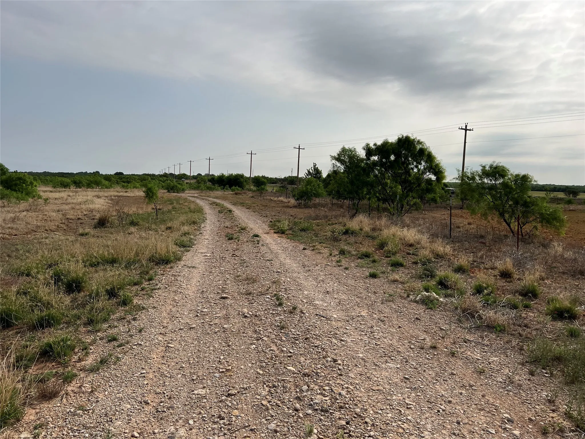 Ranch For Sale in Coke County , TBD U S Highway 277, Bronte, Texas 76933, 0, 0, Garage spaces, 0 Sqft, built in 0, Price $99,000, mls#20096463, Real Estate Agent in Bronte, Homes For Sale in Coke county, Homes For Sale in Bronte, Realtor in Bronte Texas, Real Estate Brokerage Independent Realty Texas, Luminita Cordes Realtor