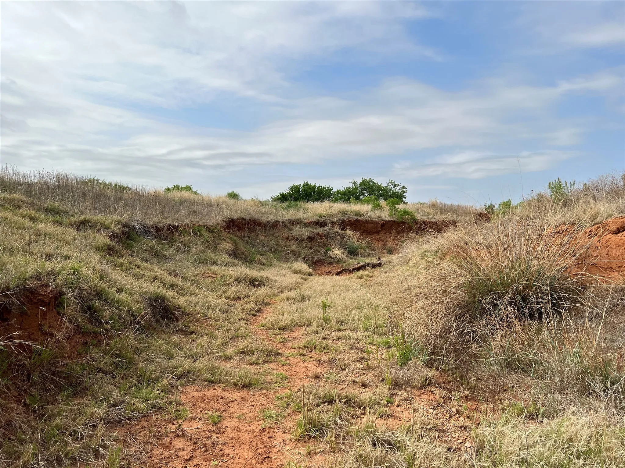 Ranch For Sale in Coke County , TBD U S Highway 277, Bronte, Texas 76933, 0, 0, Garage spaces, 0 Sqft, built in 0, Price $99,000, mls#20096463, Real Estate Agent in Bronte, Homes For Sale in Coke county, Homes For Sale in Bronte, Realtor in Bronte Texas, Real Estate Brokerage Independent Realty Texas, Luminita Cordes Realtor
