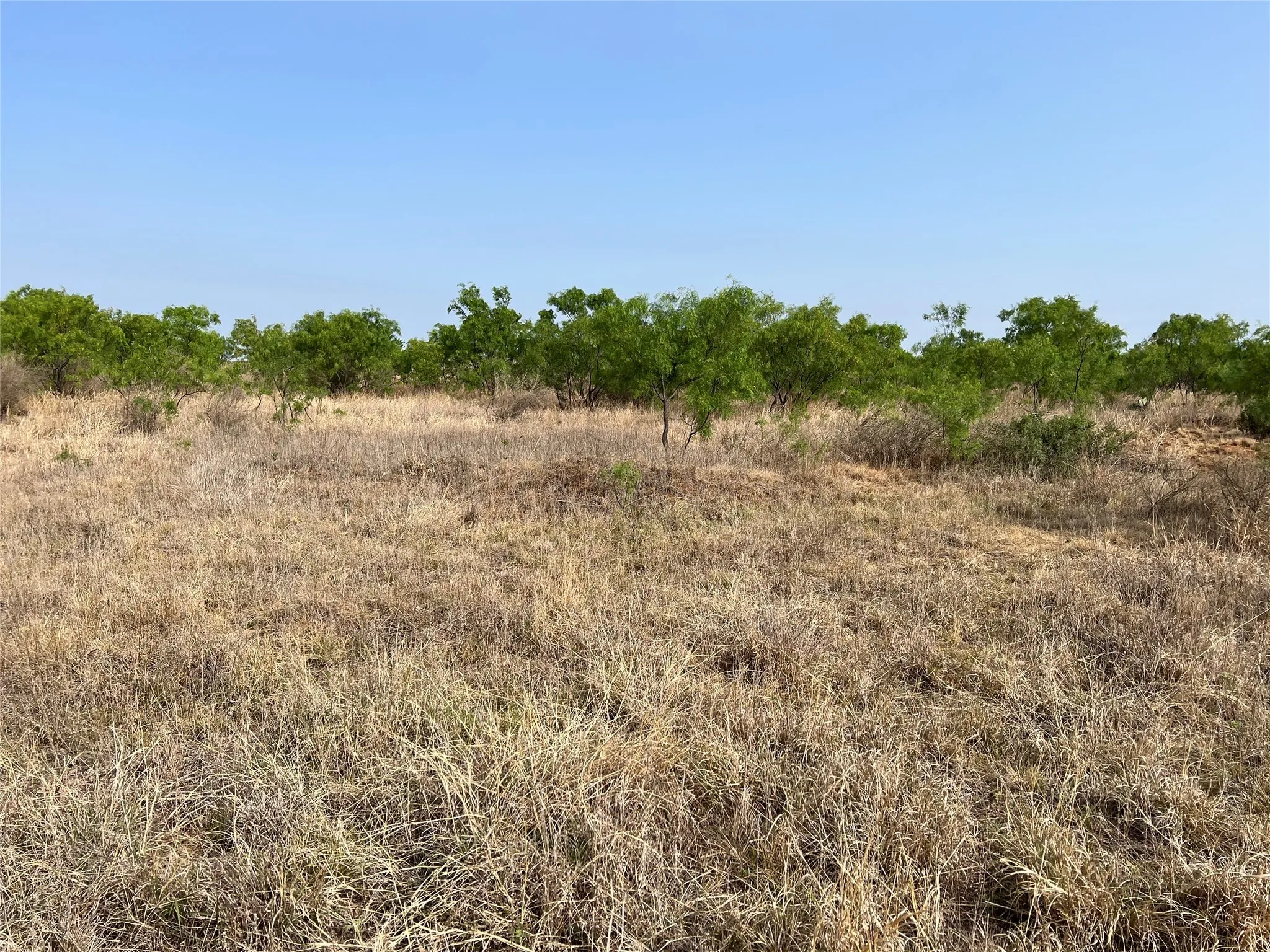 Ranch For Sale in Coke County , TBD U S Highway 277, Bronte, Texas 76933, 0, 0, Garage spaces, 0 Sqft, built in 0, Price $99,000, mls#20096463, Real Estate Agent in Bronte, Homes For Sale in Coke county, Homes For Sale in Bronte, Realtor in Bronte Texas, Real Estate Brokerage Independent Realty Texas, Luminita Cordes Realtor
