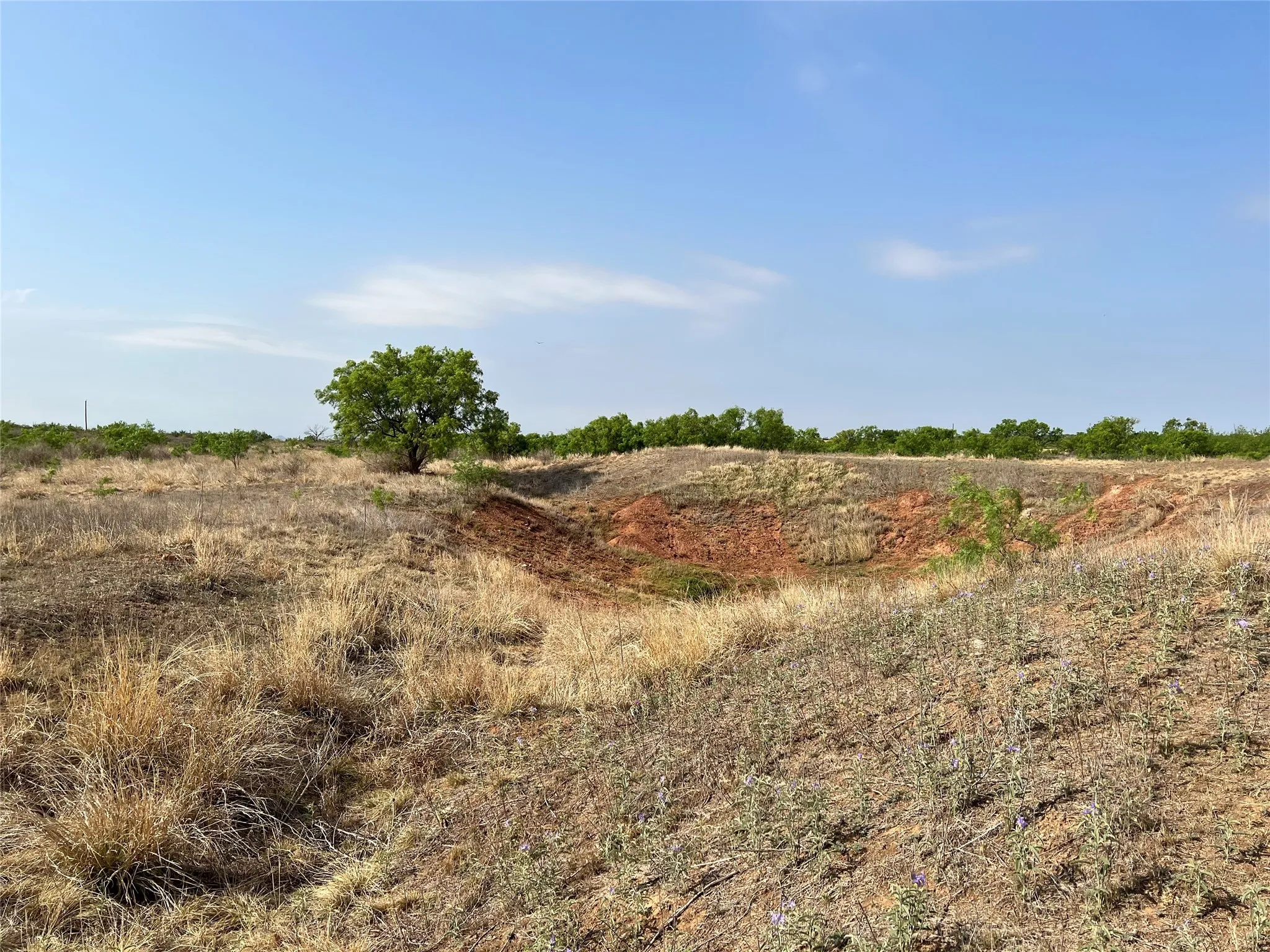 Ranch For Sale in Coke County , TBD U S Highway 277, Bronte, Texas 76933, 0, 0, Garage spaces, 0 Sqft, built in 0, Price $99,000, mls#20096463, Real Estate Agent in Bronte, Homes For Sale in Coke county, Homes For Sale in Bronte, Realtor in Bronte Texas, Real Estate Brokerage Independent Realty Texas, Luminita Cordes Realtor