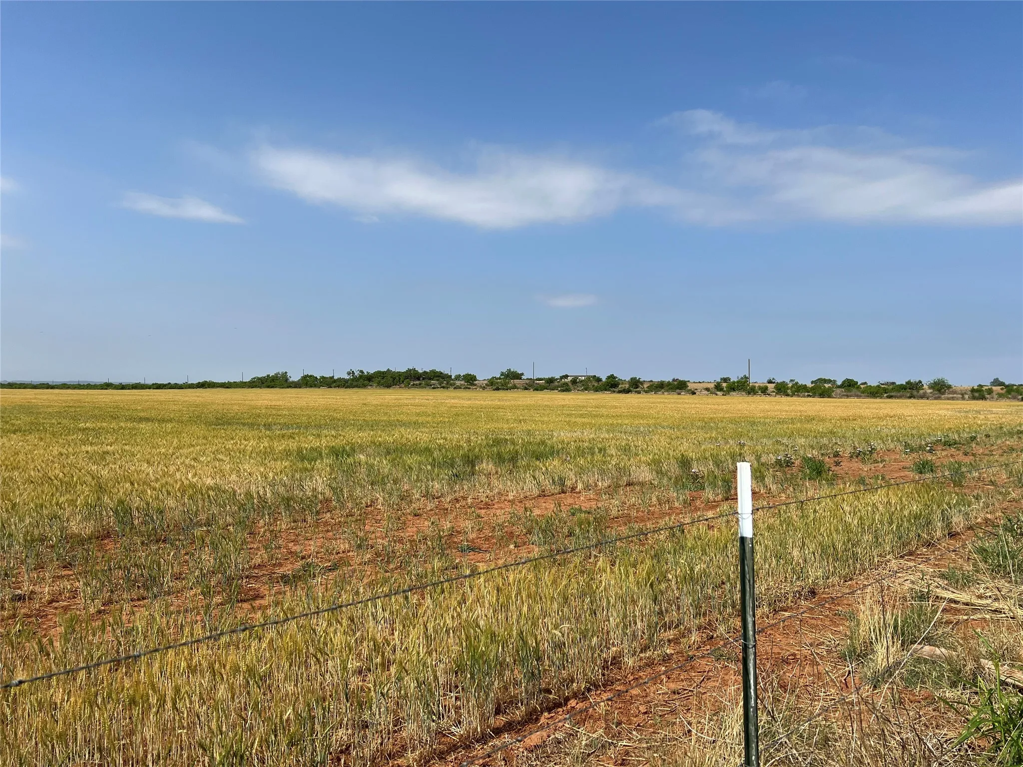 Ranch For Sale in Coke County , TBD U S Highway 277, Bronte, Texas 76933, 0, 0, Garage spaces, 0 Sqft, built in 0, Price $99,000, mls#20096463, Real Estate Agent in Bronte, Homes For Sale in Coke county, Homes For Sale in Bronte, Realtor in Bronte Texas, Real Estate Brokerage Independent Realty Texas, Luminita Cordes Realtor
