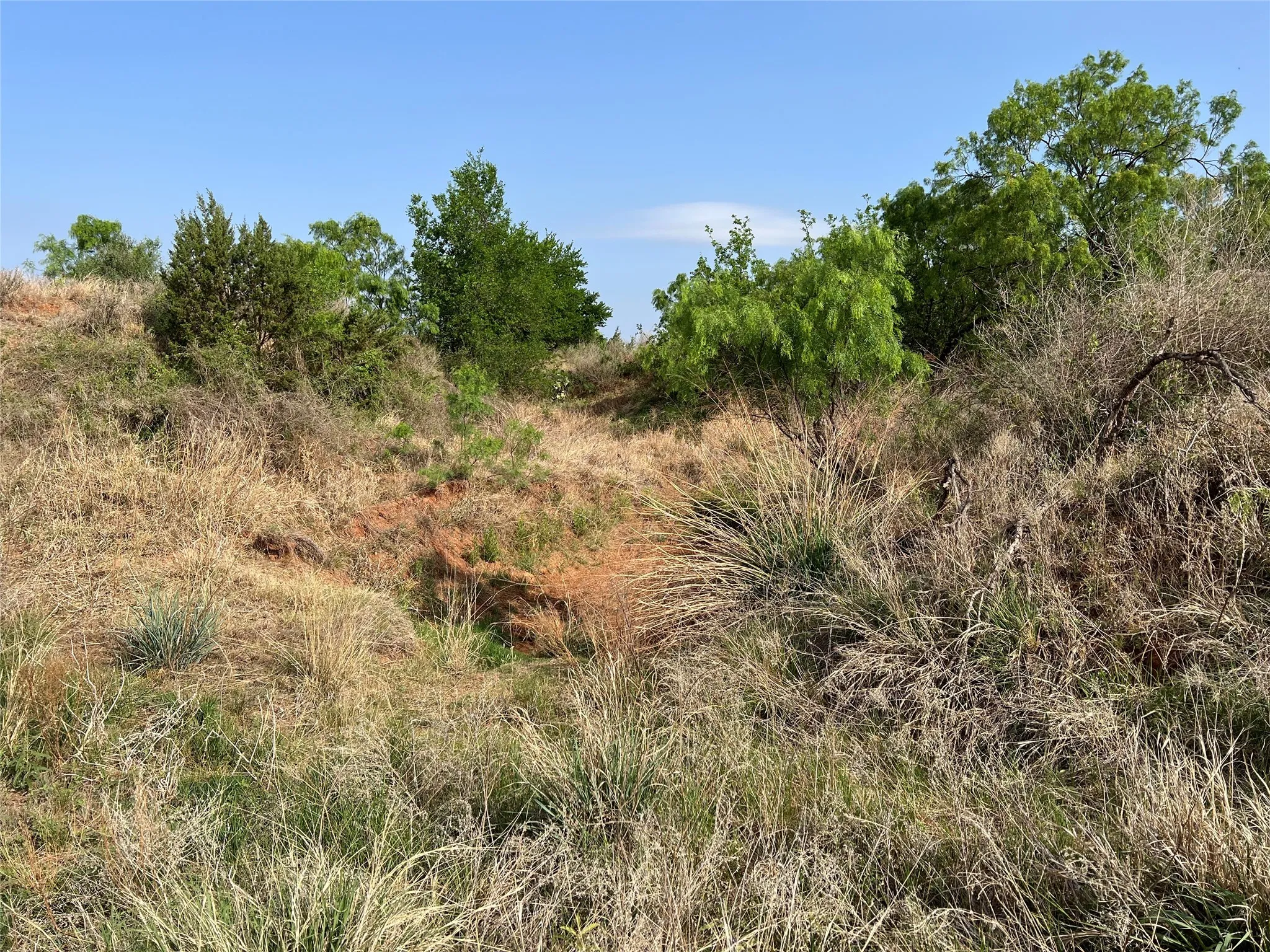 Ranch For Sale in Coke County , TBD U S Highway 277, Bronte, Texas 76933, 0, 0, Garage spaces, 0 Sqft, built in 0, Price $99,000, mls#20096463, Real Estate Agent in Bronte, Homes For Sale in Coke county, Homes For Sale in Bronte, Realtor in Bronte Texas, Real Estate Brokerage Independent Realty Texas, Luminita Cordes Realtor