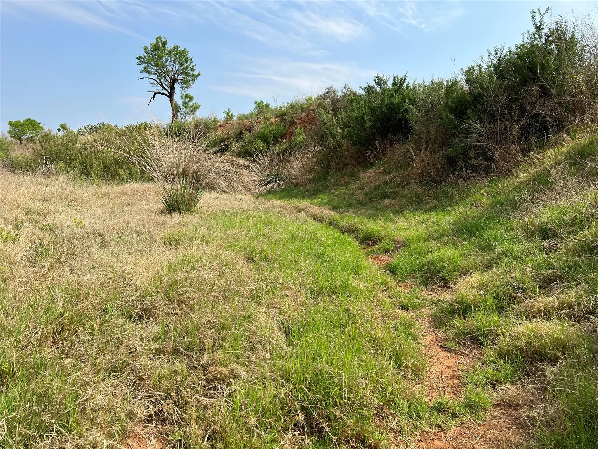 Ranch For Sale in Coke County , TBD U S Highway 277, Bronte, Texas 76933, 0, 0, Garage spaces, 0 Sqft, built in 0, Price $99,000, mls#20096463, Real Estate Agent in Bronte, Homes For Sale in Coke county, Homes For Sale in Bronte, Realtor in Bronte Texas, Real Estate Brokerage Independent Realty Texas, Luminita Cordes Realtor