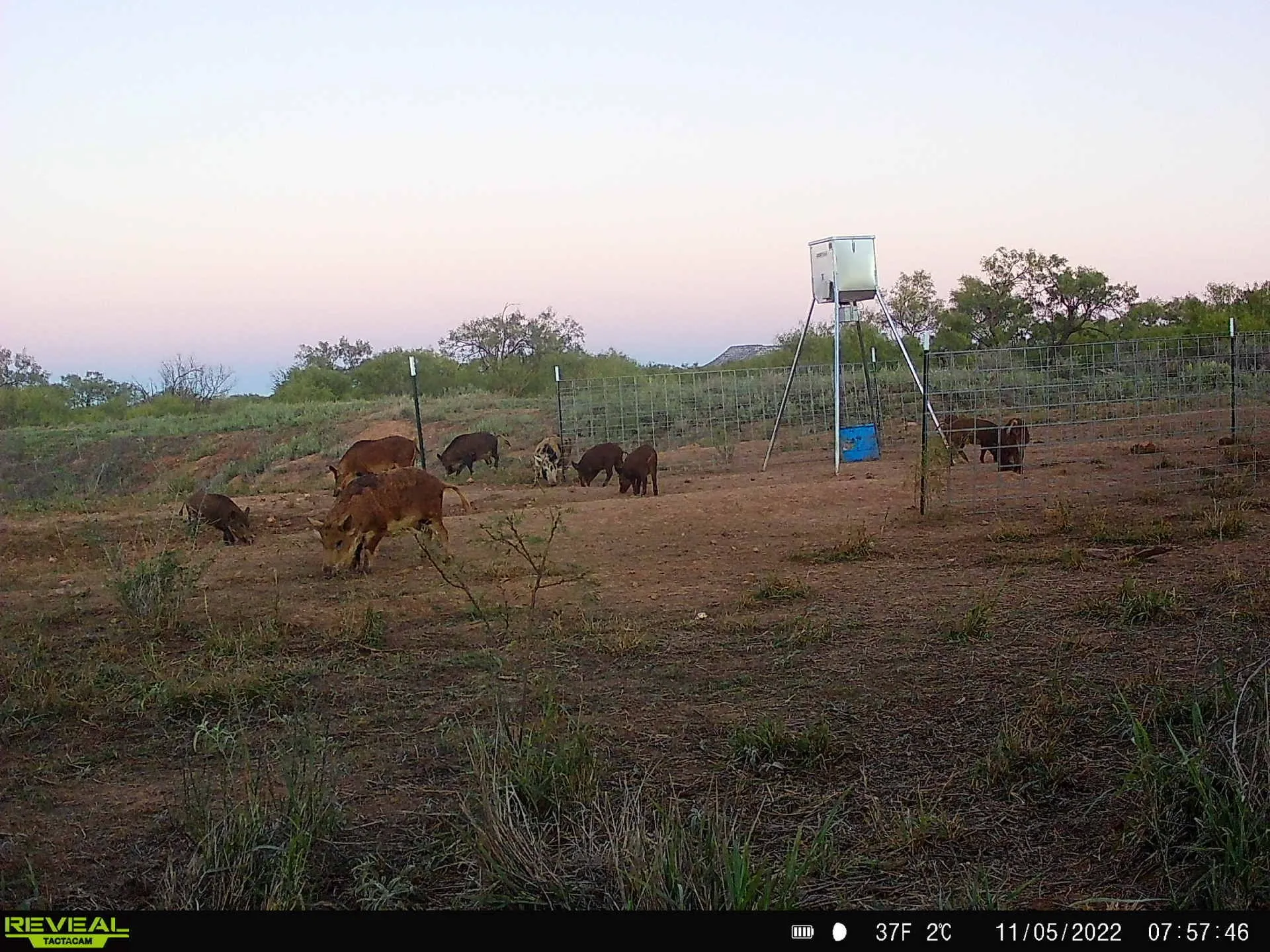 Ranch For Sale in Coke County , TBD U S Highway 277, Bronte, Texas 76933, 0, 0, Garage spaces, 0 Sqft, built in 0, Price $99,000, mls#20096463, Real Estate Agent in Bronte, Homes For Sale in Coke county, Homes For Sale in Bronte, Realtor in Bronte Texas, Real Estate Brokerage Independent Realty Texas, Luminita Cordes Realtor