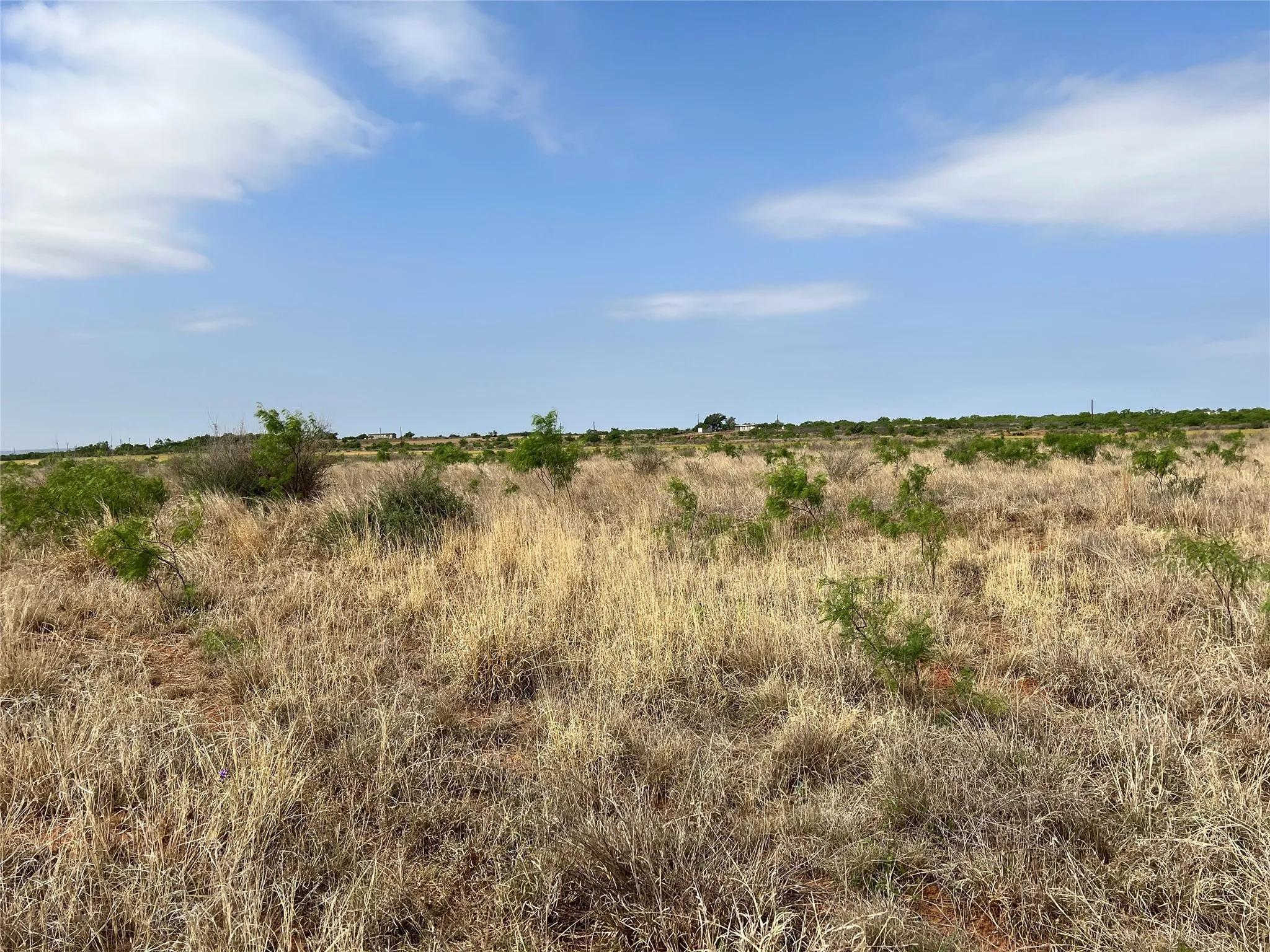 Ranch For Sale in Coke County , TBD U S Highway 277, Bronte, Texas 76933, 0, 0, Garage spaces, 0 Sqft, built in 0, Price $99,000, mls#20096463, Real Estate Agent in Bronte, Homes For Sale in Coke county, Homes For Sale in Bronte, Realtor in Bronte Texas, Real Estate Brokerage Independent Realty Texas, Luminita Cordes Realtor