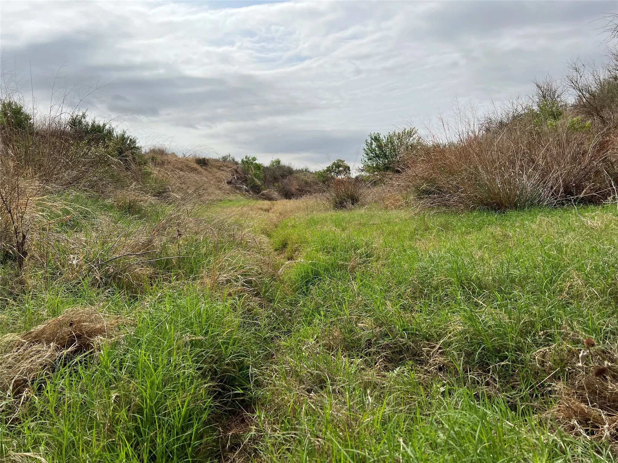 Ranch For Sale in Coke County , TBD U S Highway 277, Bronte, Texas 76933, 0, 0, Garage spaces, 0 Sqft, built in 0, Price $99,000, mls#20096463, Real Estate Agent in Bronte, Homes For Sale in Coke county, Homes For Sale in Bronte, Realtor in Bronte Texas, Real Estate Brokerage Independent Realty Texas, Luminita Cordes Realtor
