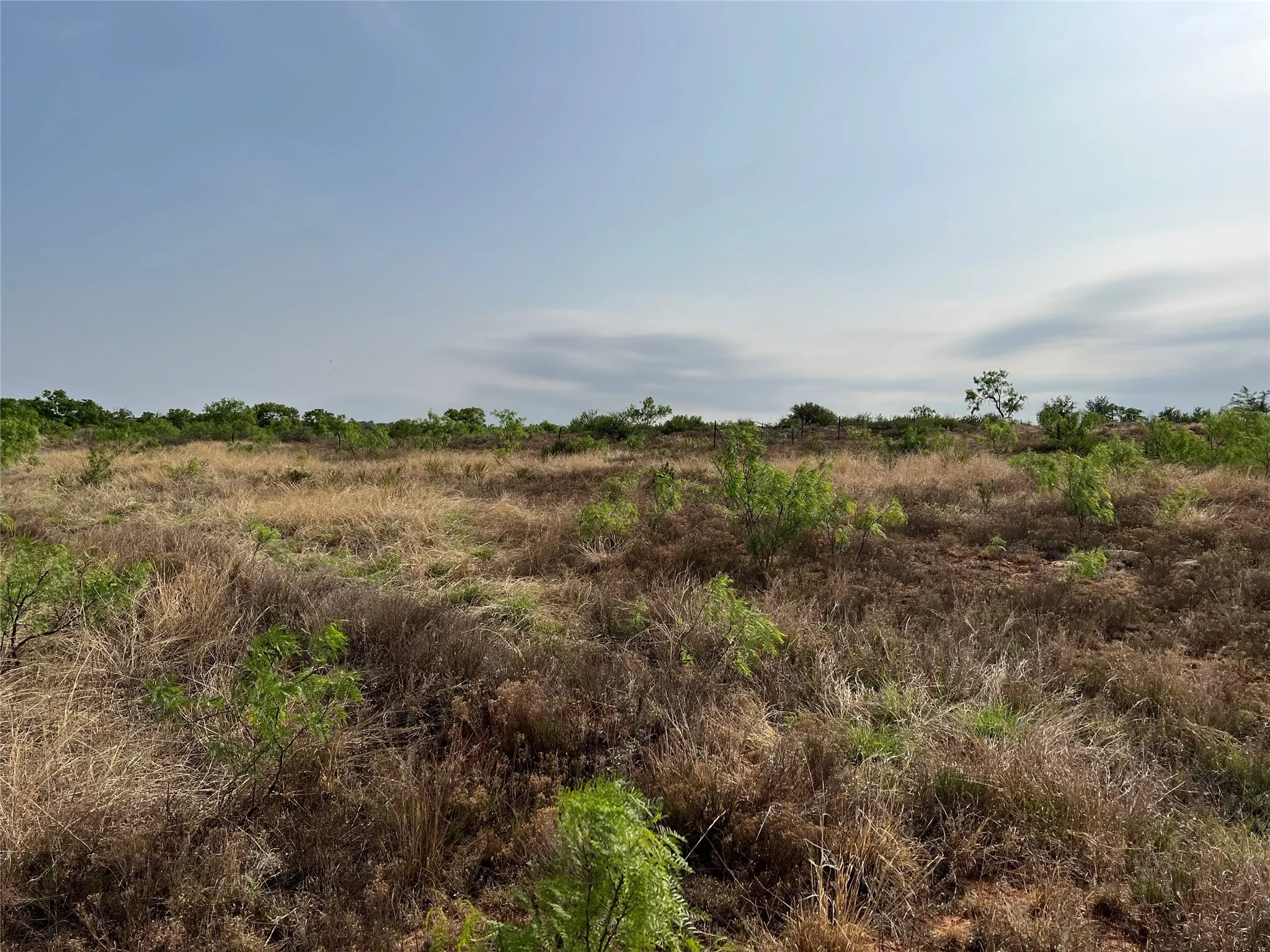 Ranch For Sale in Coke County , TBD U S Highway 277, Bronte, Texas 76933, 0, 0, Garage spaces, 0 Sqft, built in 0, Price $99,000, mls#20096463, Real Estate Agent in Bronte, Homes For Sale in Coke county, Homes For Sale in Bronte, Realtor in Bronte Texas, Real Estate Brokerage Independent Realty Texas, Luminita Cordes Realtor