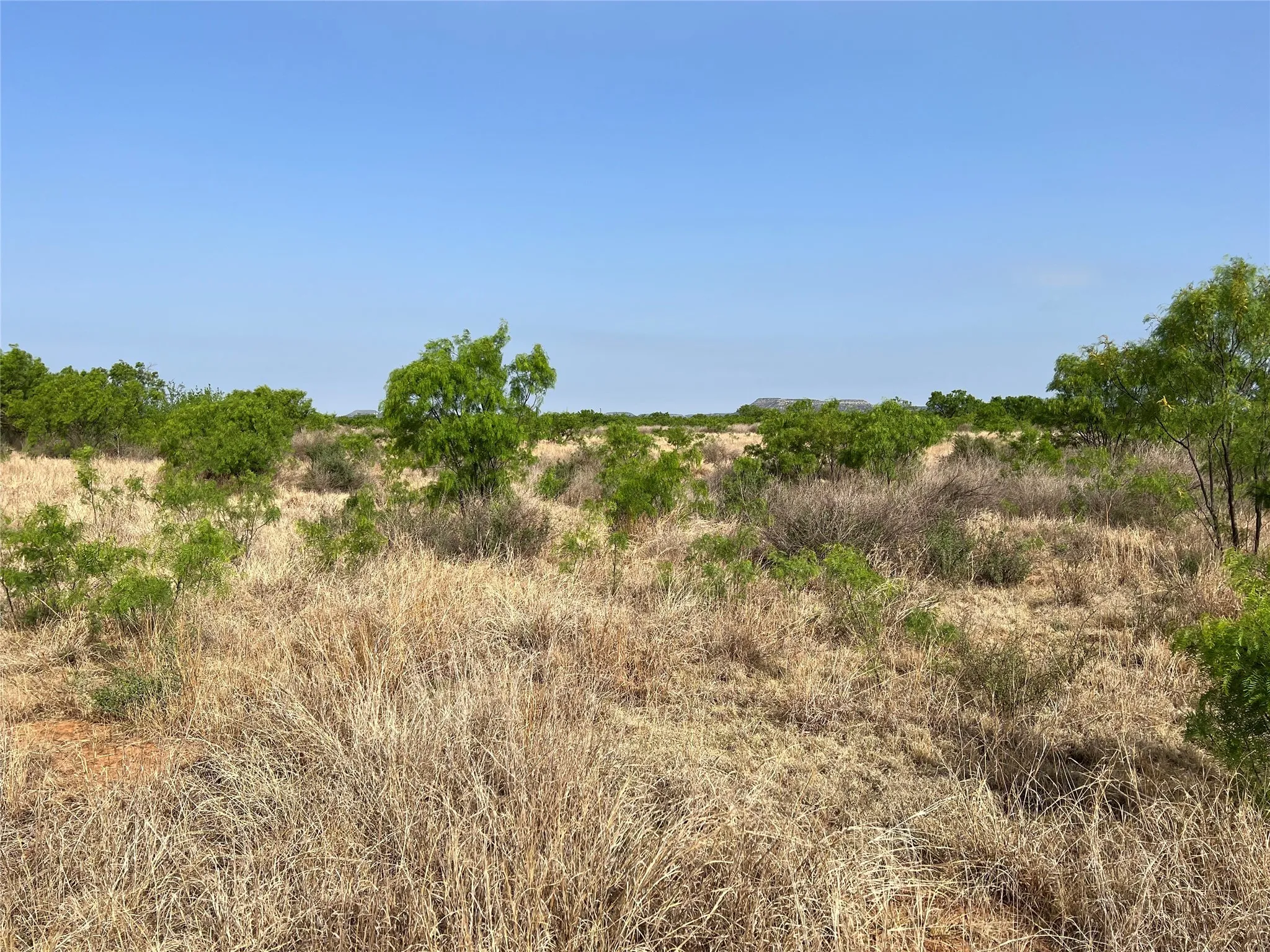 Ranch For Sale in Coke County , TBD U S Highway 277, Bronte, Texas 76933, 0, 0, Garage spaces, 0 Sqft, built in 0, Price $99,000, mls#20096463, Real Estate Agent in Bronte, Homes For Sale in Coke county, Homes For Sale in Bronte, Realtor in Bronte Texas, Real Estate Brokerage Independent Realty Texas, Luminita Cordes Realtor