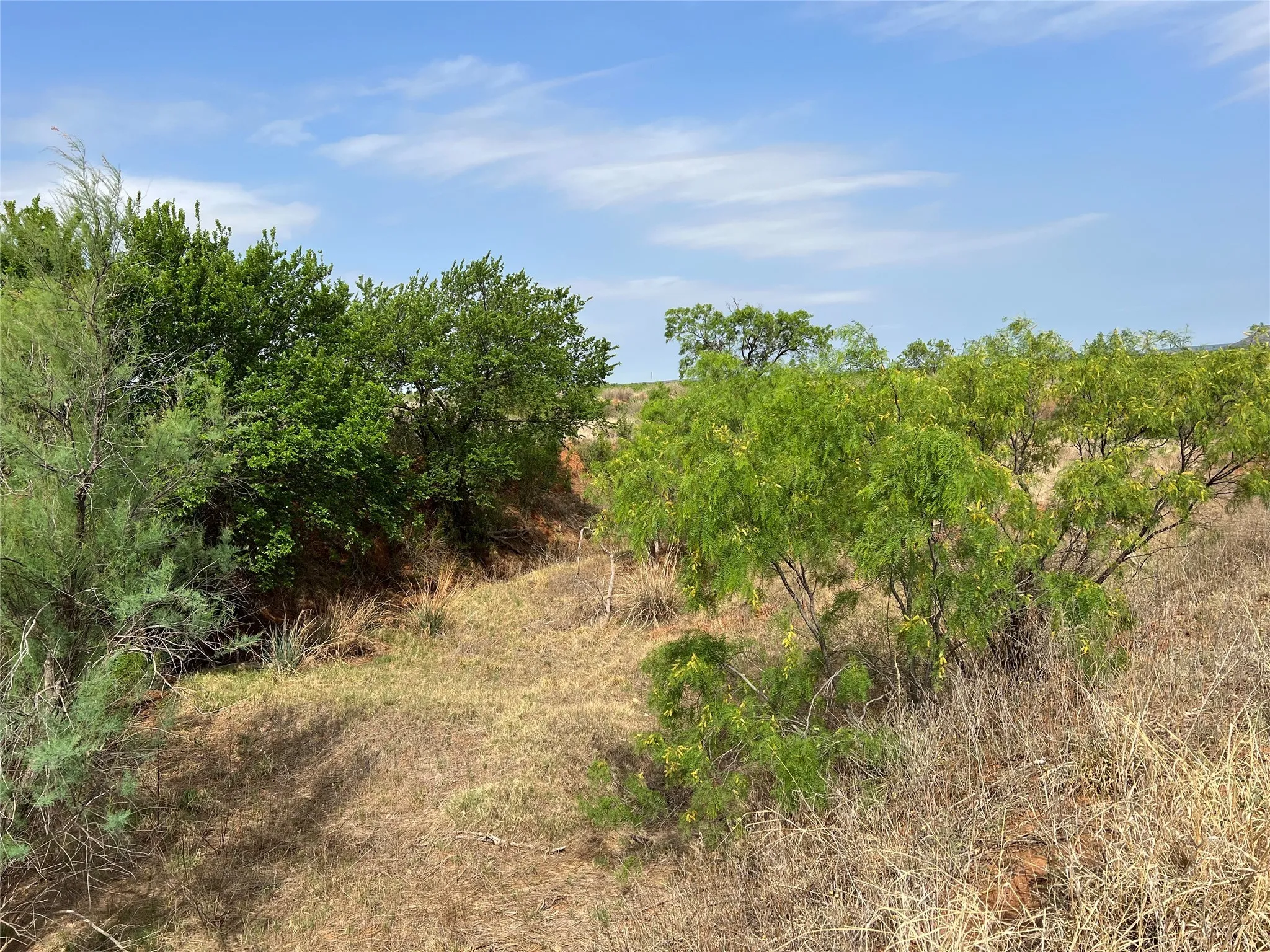 Ranch For Sale in Coke County , TBD U S Highway 277, Bronte, Texas 76933, 0, 0, Garage spaces, 0 Sqft, built in 0, Price $99,000, mls#20096463, Real Estate Agent in Bronte, Homes For Sale in Coke county, Homes For Sale in Bronte, Realtor in Bronte Texas, Real Estate Brokerage Independent Realty Texas, Luminita Cordes Realtor