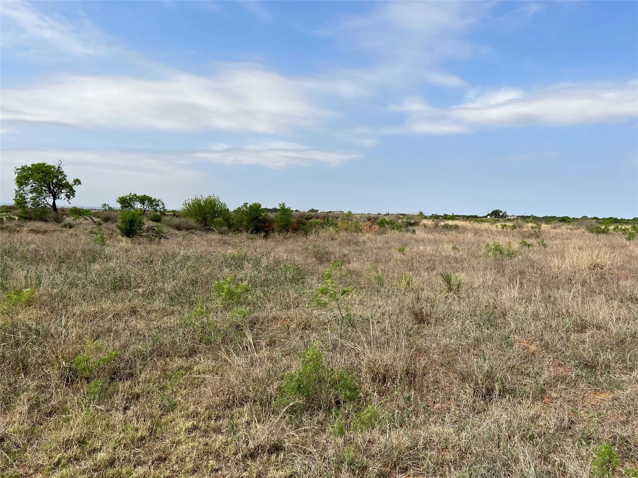 Ranch For Sale in Coke County , TBD U S Highway 277, Bronte, Texas 76933, 0, 0, Garage spaces, 0 Sqft, built in 0, Price $99,000, mls#20096463, Real Estate Agent in Bronte, Homes For Sale in Coke county, Homes For Sale in Bronte, Realtor in Bronte Texas, Real Estate Brokerage Independent Realty Texas, Luminita Cordes Realtor