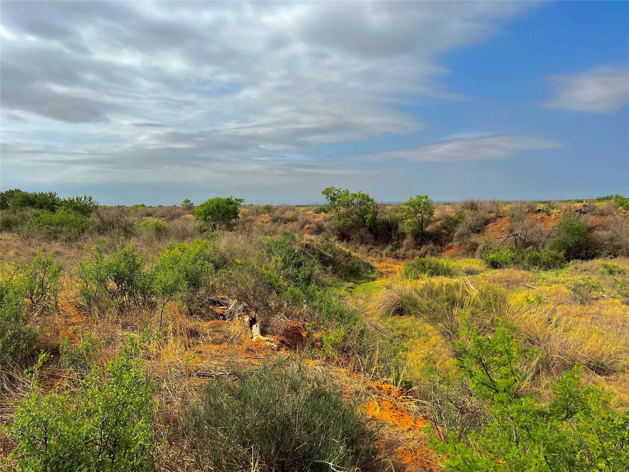 Ranch For Sale in Coke County , TBD U S Highway 277, Bronte, Texas 76933, 0, 0, Garage spaces, 0 Sqft, built in 0, Price $99,000, mls#20096463, Real Estate Agent in Bronte, Homes For Sale in Coke county, Homes For Sale in Bronte, Realtor in Bronte Texas, Real Estate Brokerage Independent Realty Texas, Luminita Cordes Realtor