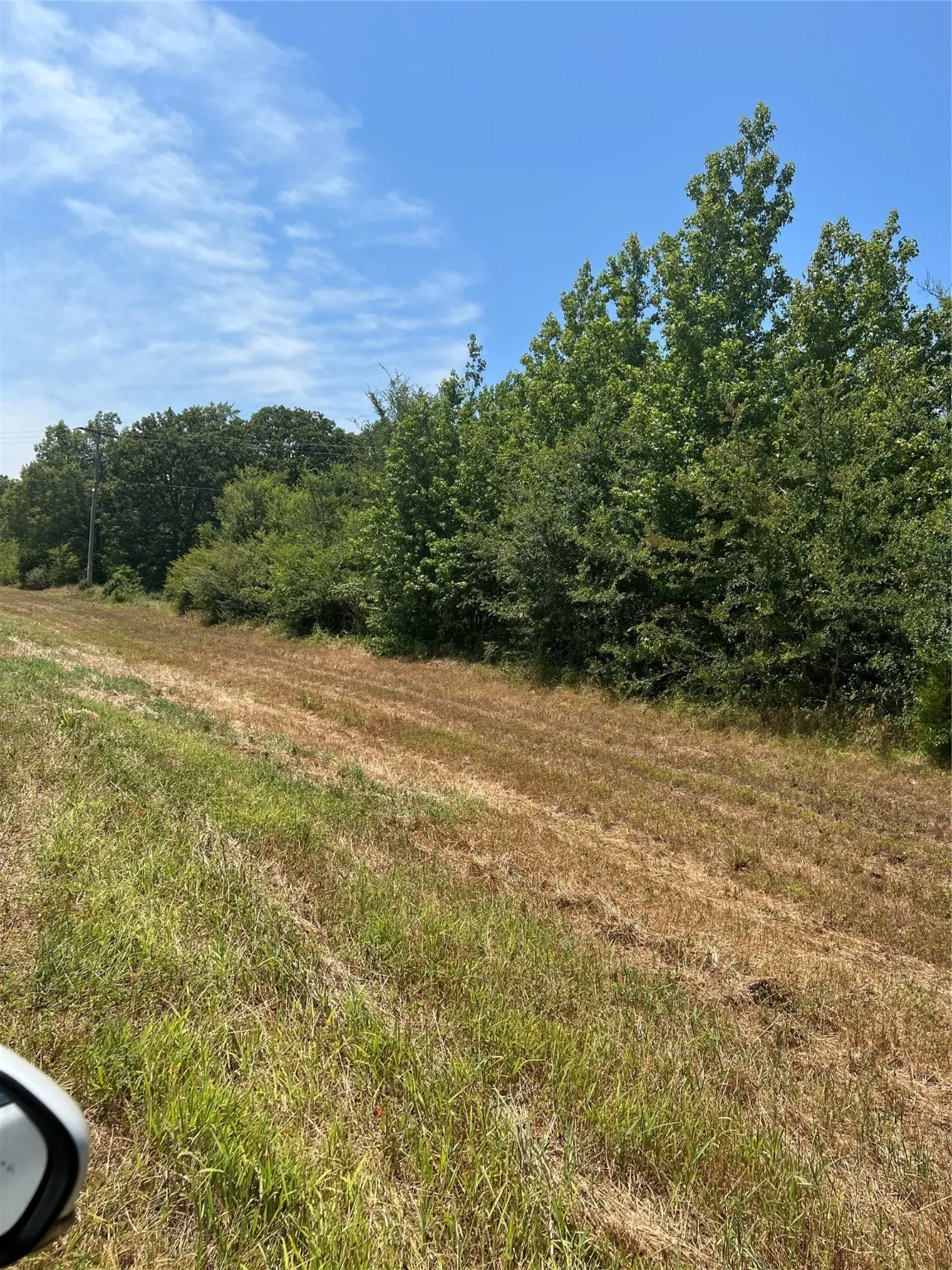 Unimproved Land For Sale in Camp County , 000 FM 3042, Pittsburg, Texas 75686, 0, 0, Garage spaces, 0 Sqft, built in 0, Price $135,000, mls#20117406, Real Estate Agent in Pittsburg, Homes For Sale in Camp county, Homes For Sale in Pittsburg, Realtor in Pittsburg Texas, Real Estate Brokerage Independent Realty Texas, Luminita Cordes Realtor