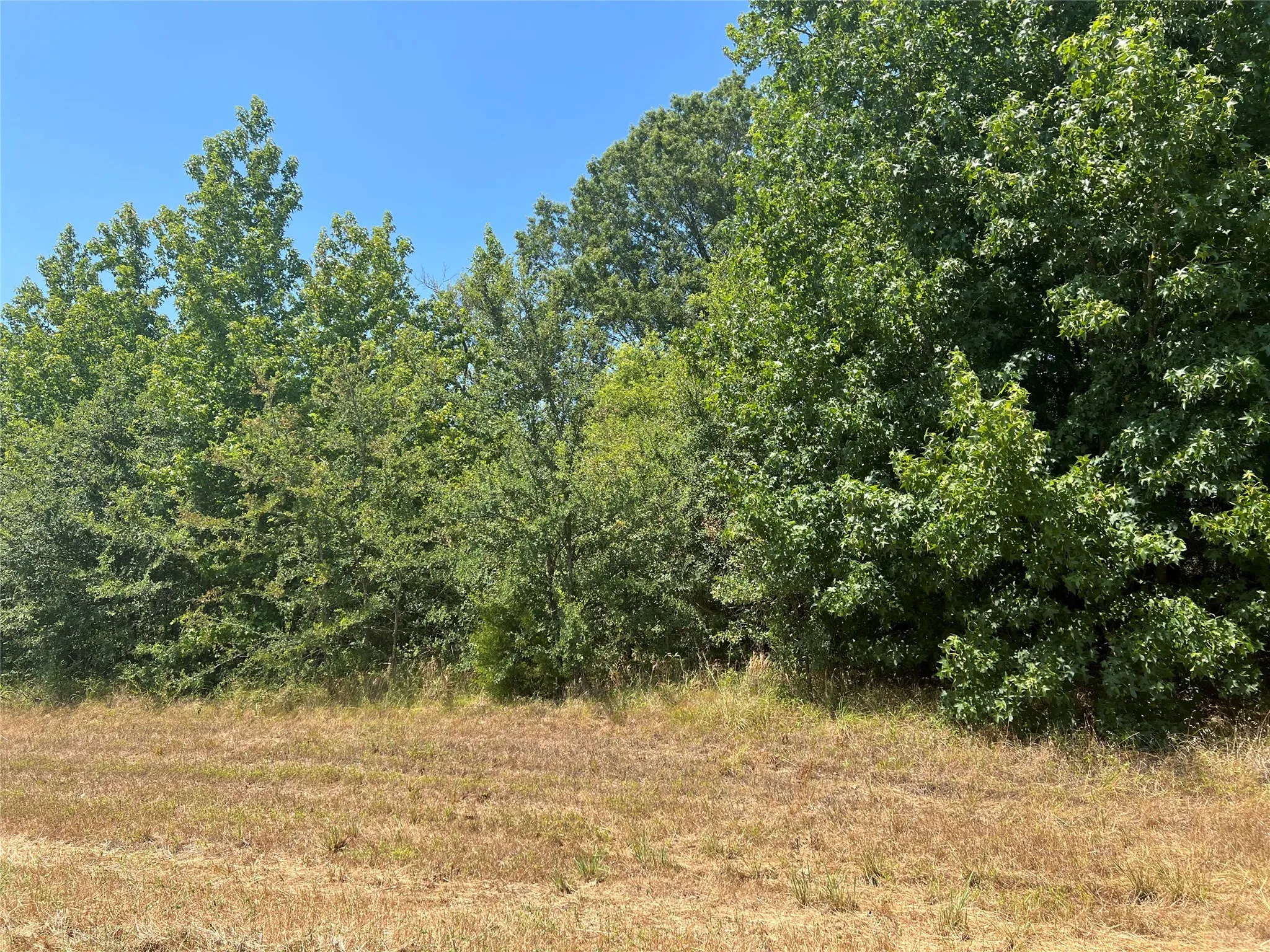 Unimproved Land For Sale in Camp County , 000 FM 3042, Pittsburg, Texas 75686, 0, 0, Garage spaces, 0 Sqft, built in 0, Price $135,000, mls#20117406, Real Estate Agent in Pittsburg, Homes For Sale in Camp county, Homes For Sale in Pittsburg, Realtor in Pittsburg Texas, Real Estate Brokerage Independent Realty Texas, Luminita Cordes Realtor