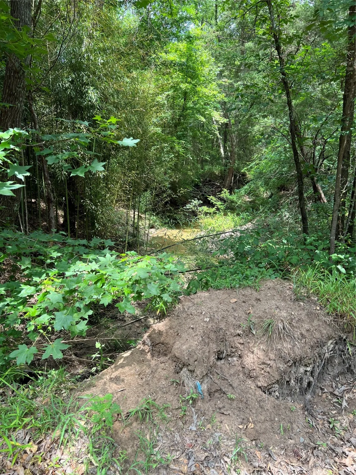Unimproved Land For Sale in Franklin (TX) County , 00 CR 4131, Mount Vernon, Texas 75457, 0, 0, Garage spaces, 0 Sqft, built in 0, Price $113,200, mls#20123463, Real Estate Agent in Mount Vernon, Homes For Sale in Franklin (TX) county, Homes For Sale in Mount Vernon, Realtor in Mount Vernon Texas, Real Estate Brokerage Independent Realty Texas, Luminita Cordes Realtor