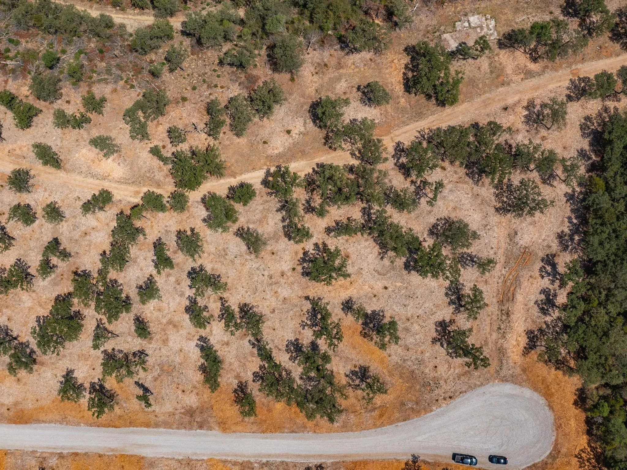 Unimproved Land For Sale in Montague County , Lot 9 Choate, Bowie, Texas 76230, 0, 0, Garage spaces, 0 Sqft, built in 0, Price $419,000, mls#20125564, Real Estate Agent in Bowie, Homes For Sale in Montague county, Homes For Sale in Bowie, Realtor in Bowie Texas, Real Estate Brokerage Independent Realty Texas, Luminita Cordes Realtor
